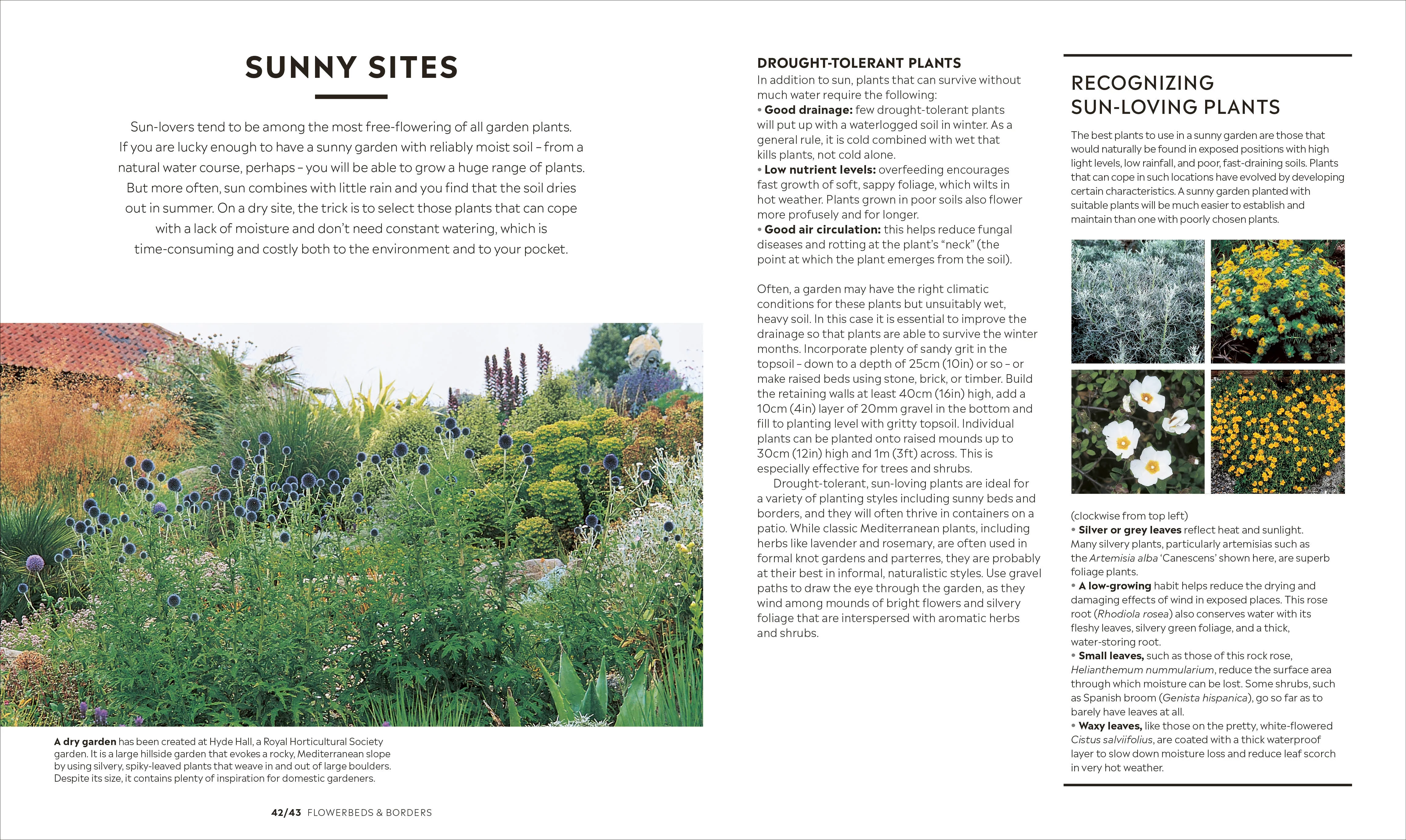RHS How to Garden New Edition - Image 2