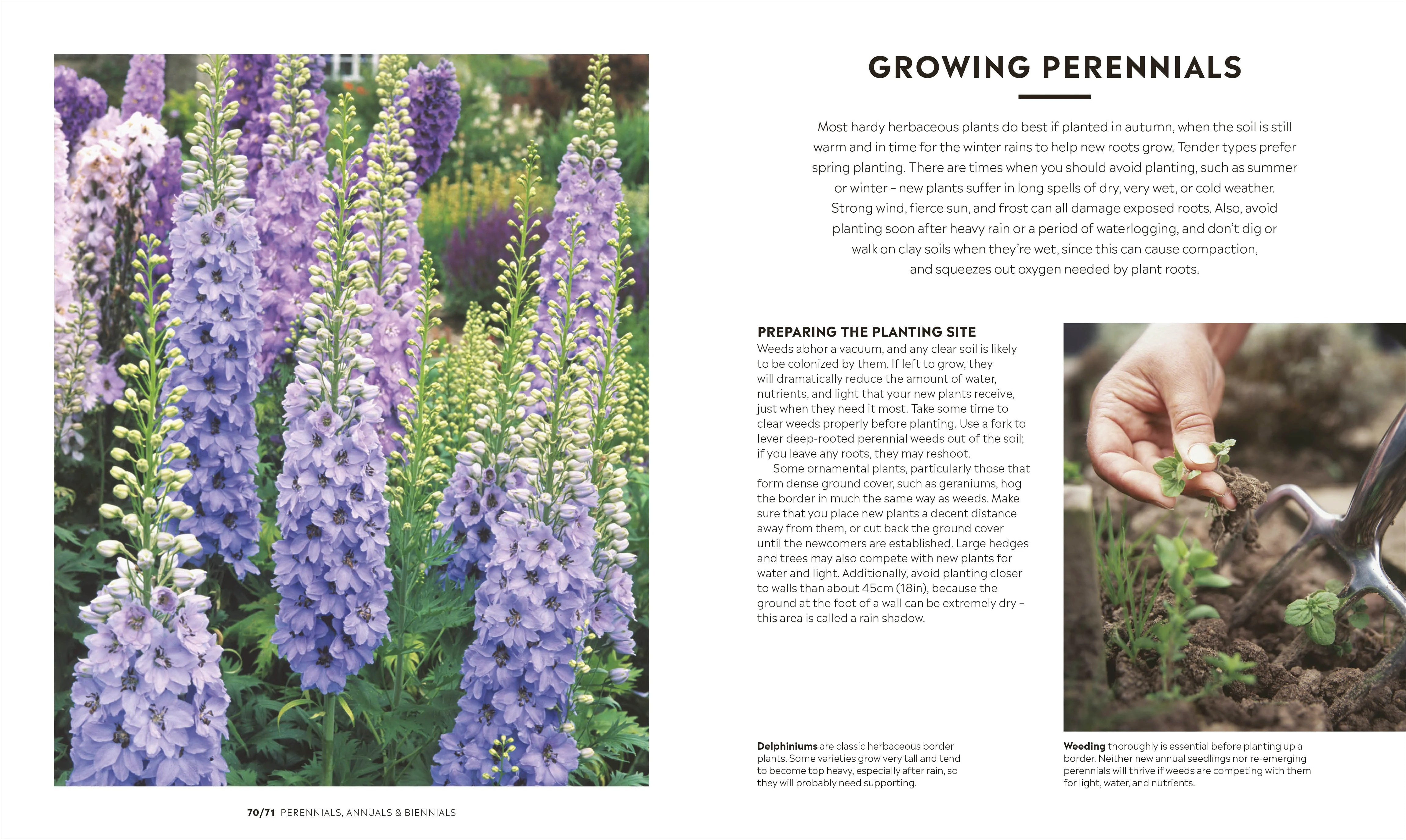 RHS How to Garden New Edition - Image 3
