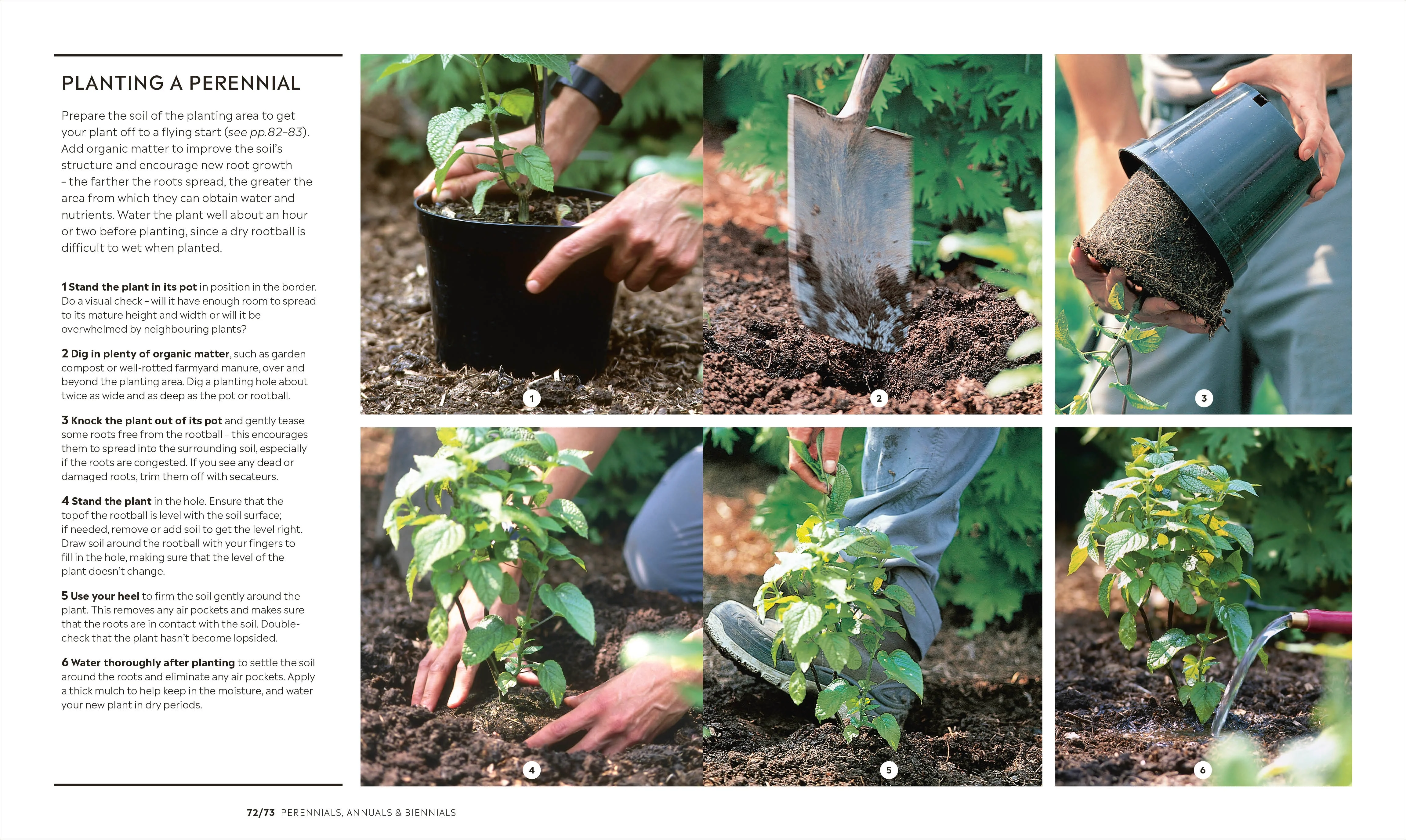 RHS How to Garden New Edition - Image 4