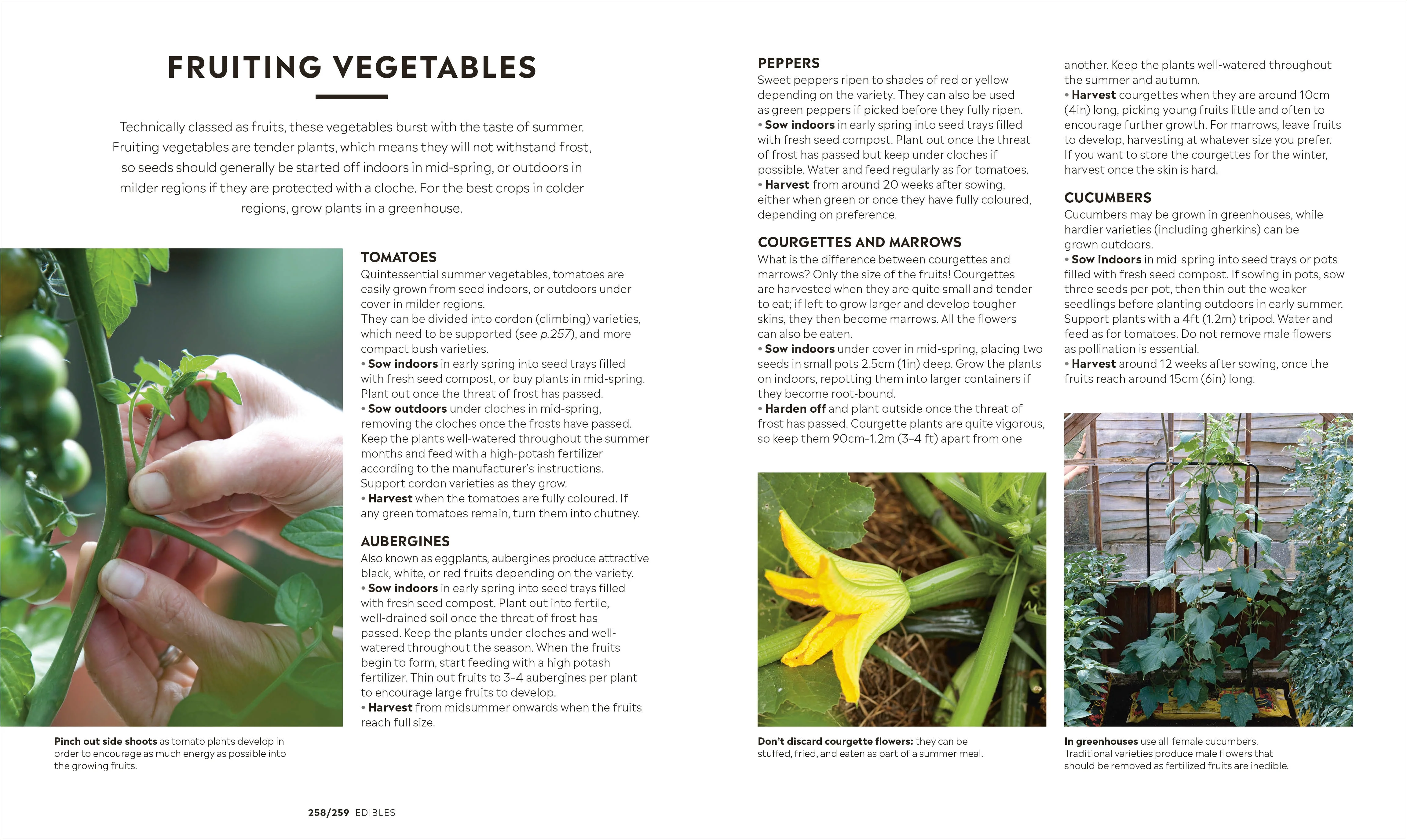 RHS How to Garden New Edition - Image 8