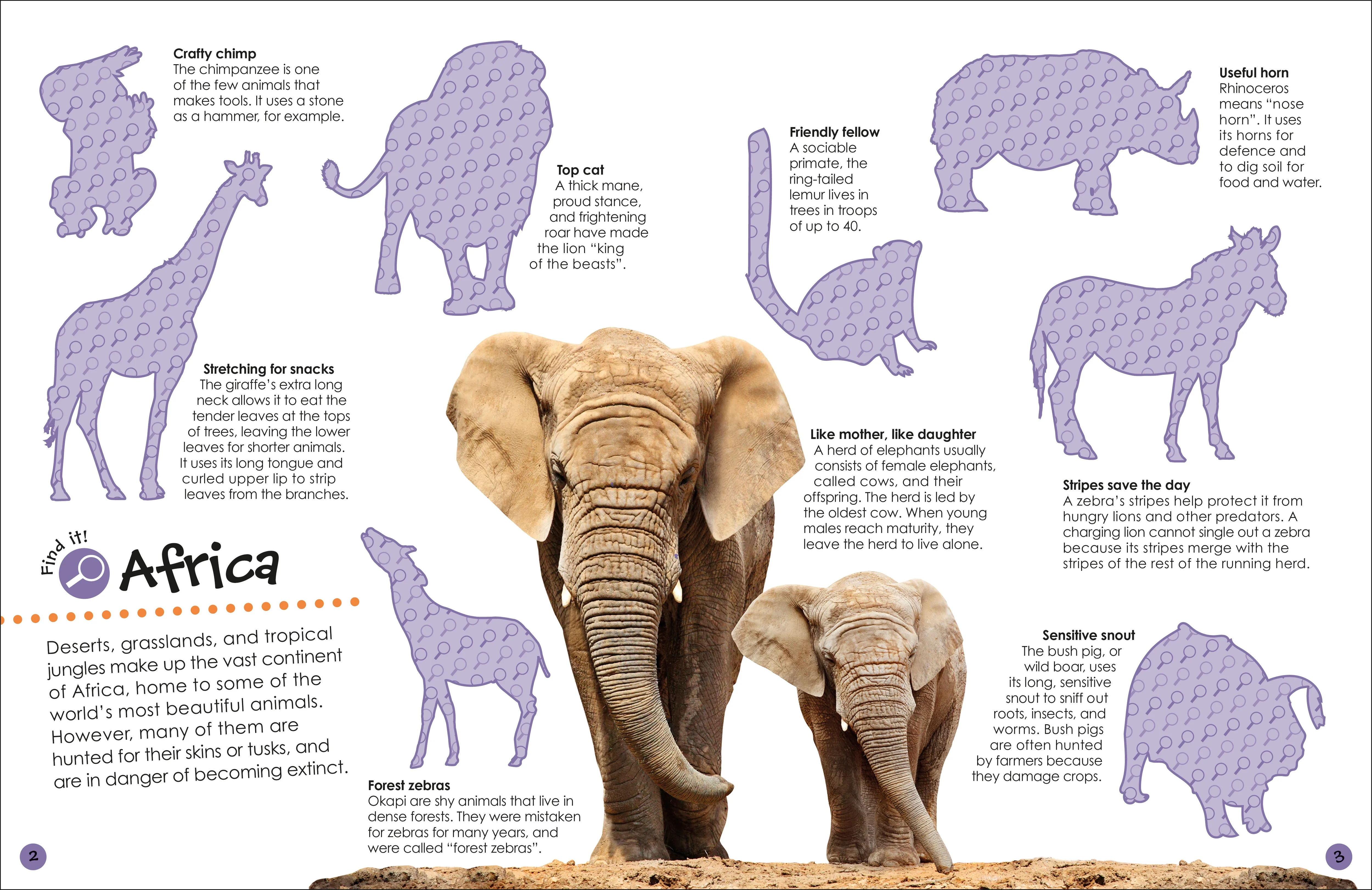 Ultimate Sticker Book Animals - Image 3