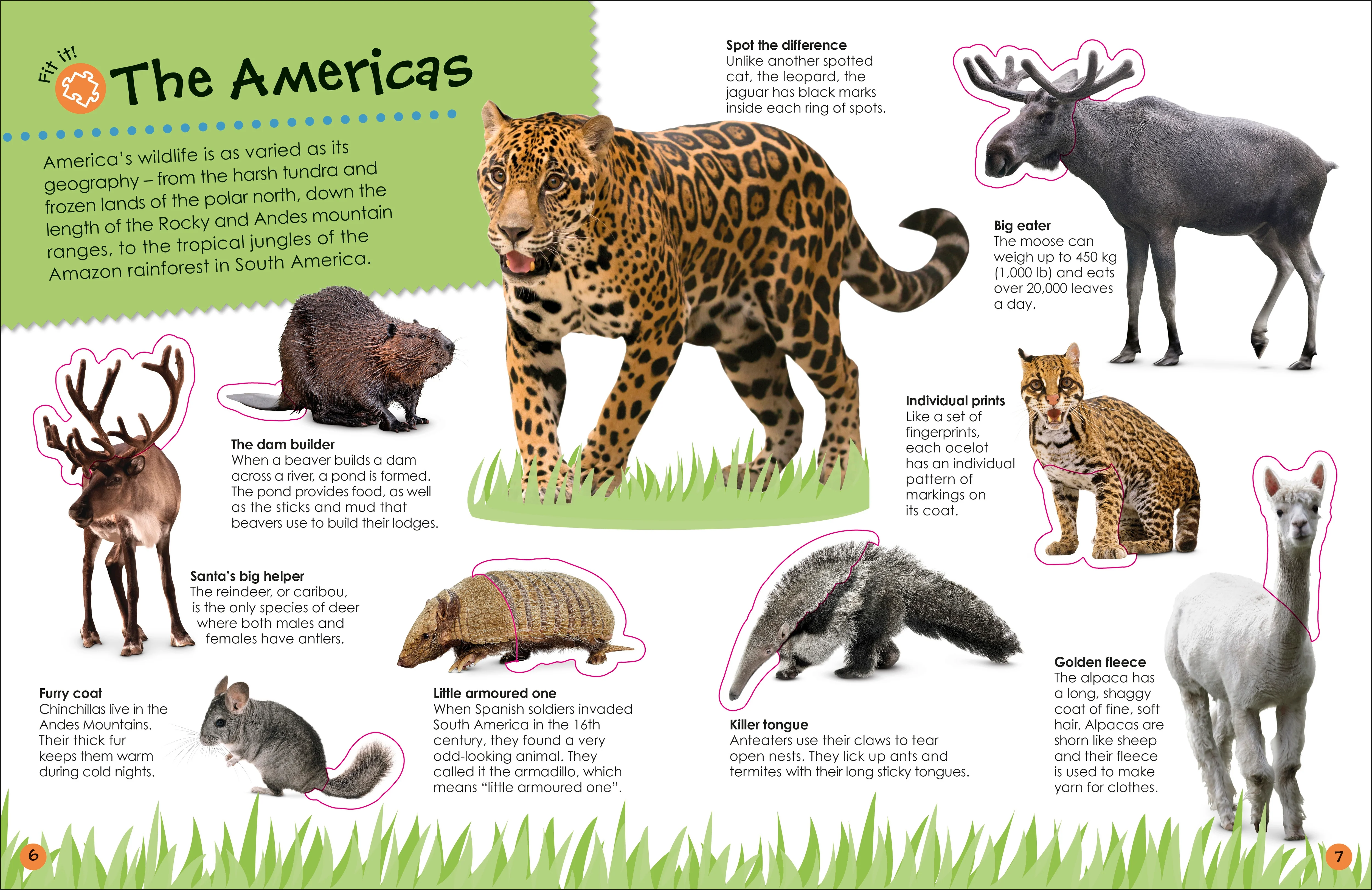 Ultimate Sticker Book Animals - Image 4