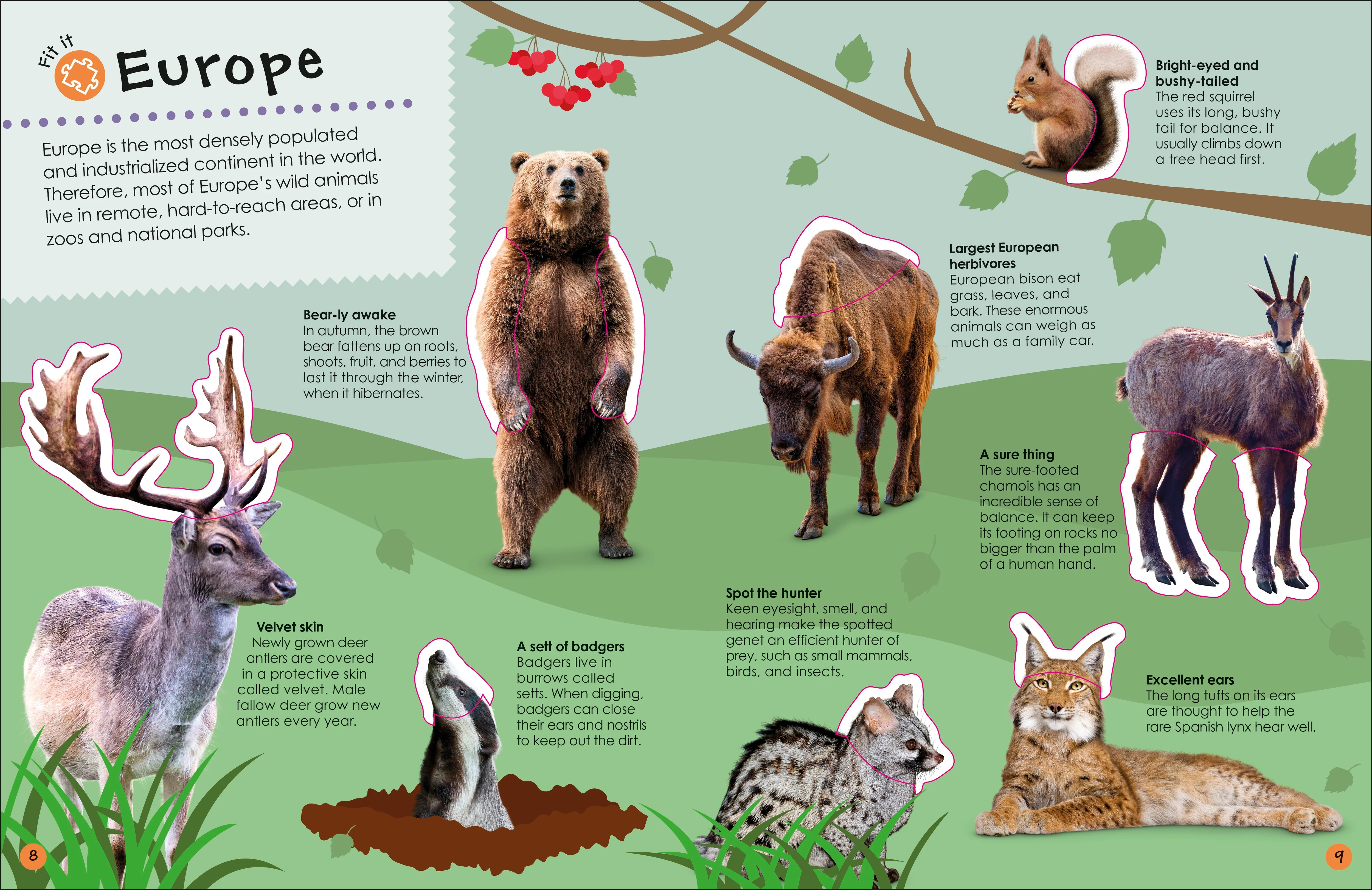 Ultimate Sticker Book Animals - Image 6