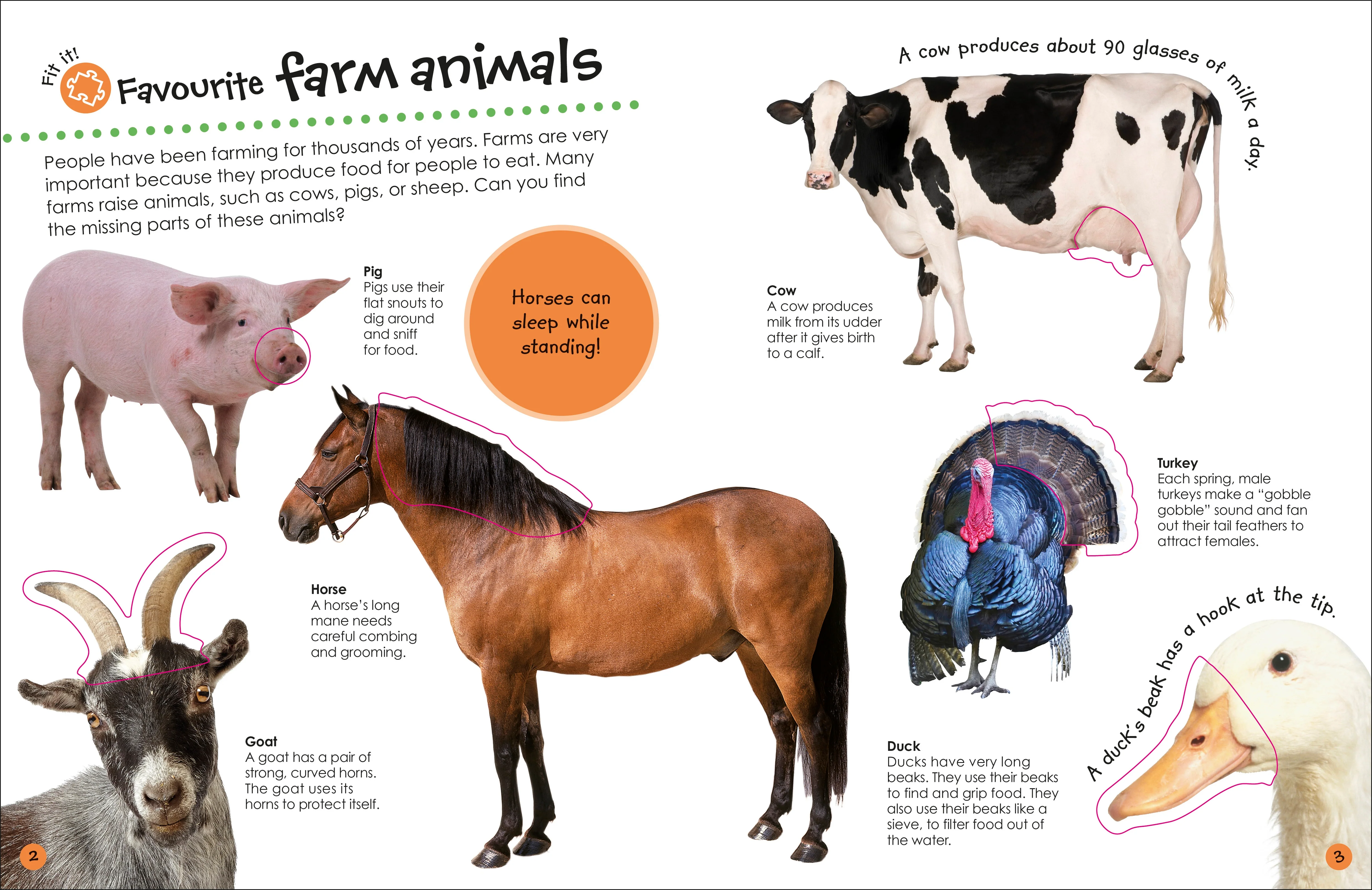 Ultimate Sticker Book Farm - Image 2
