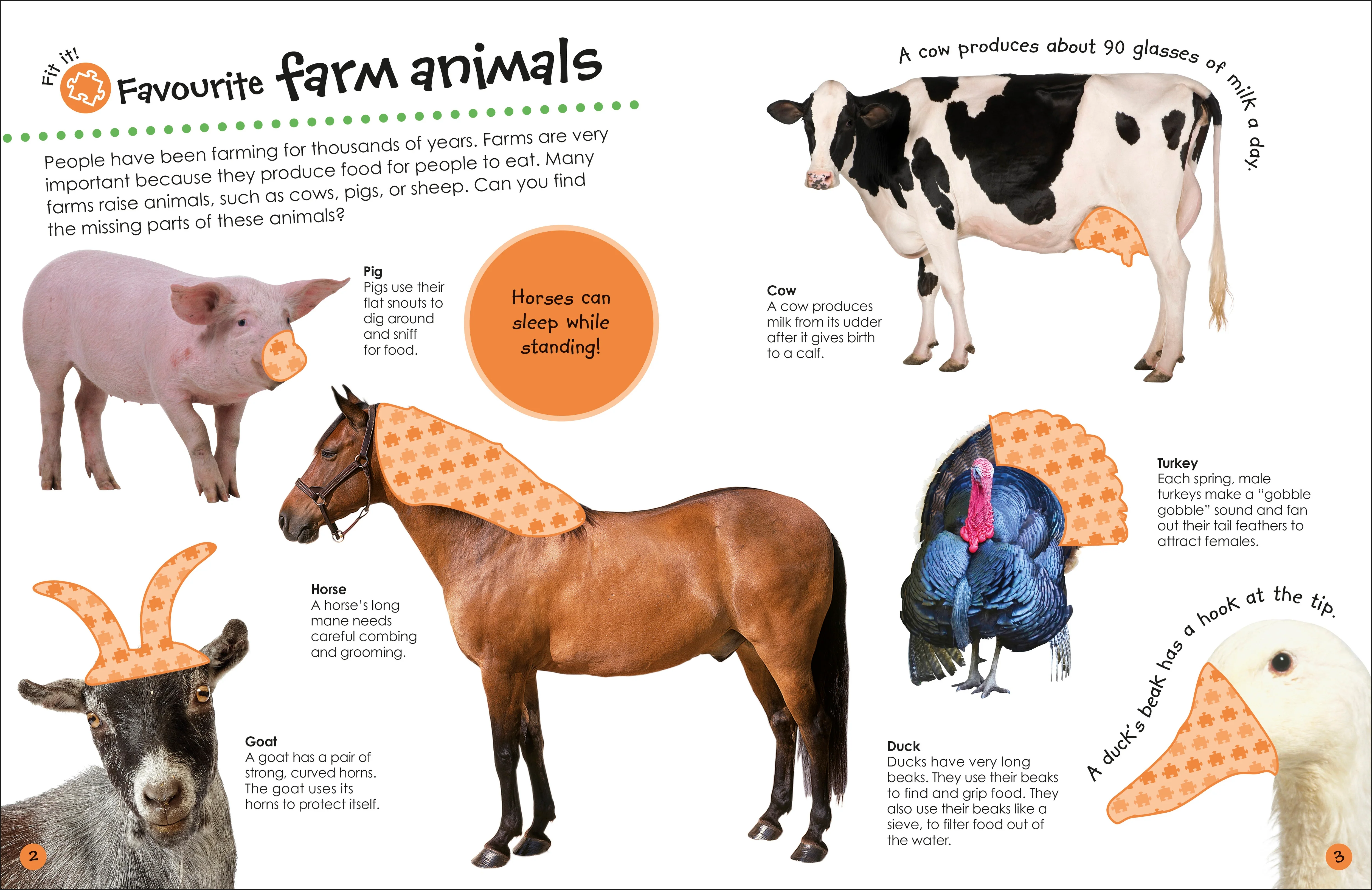 Ultimate Sticker Book Farm - Image 3