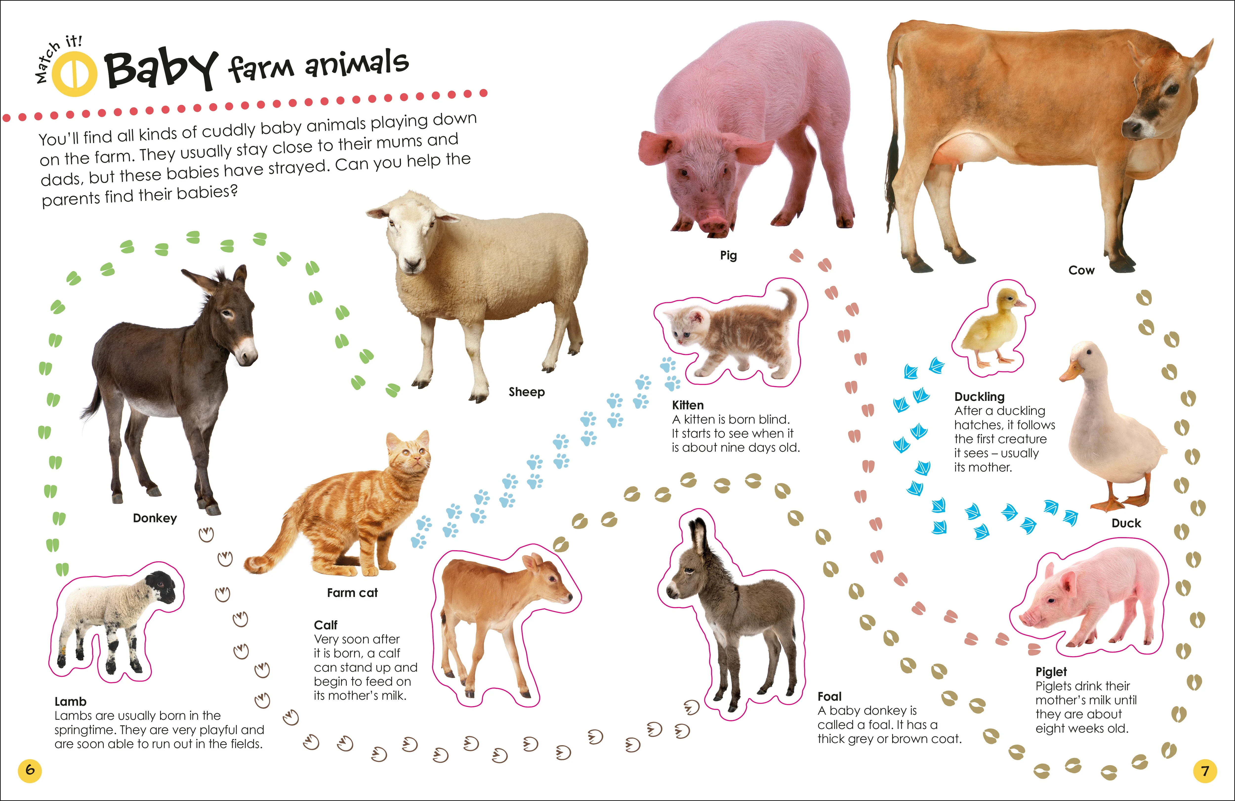 Ultimate Sticker Book Farm - Image 4
