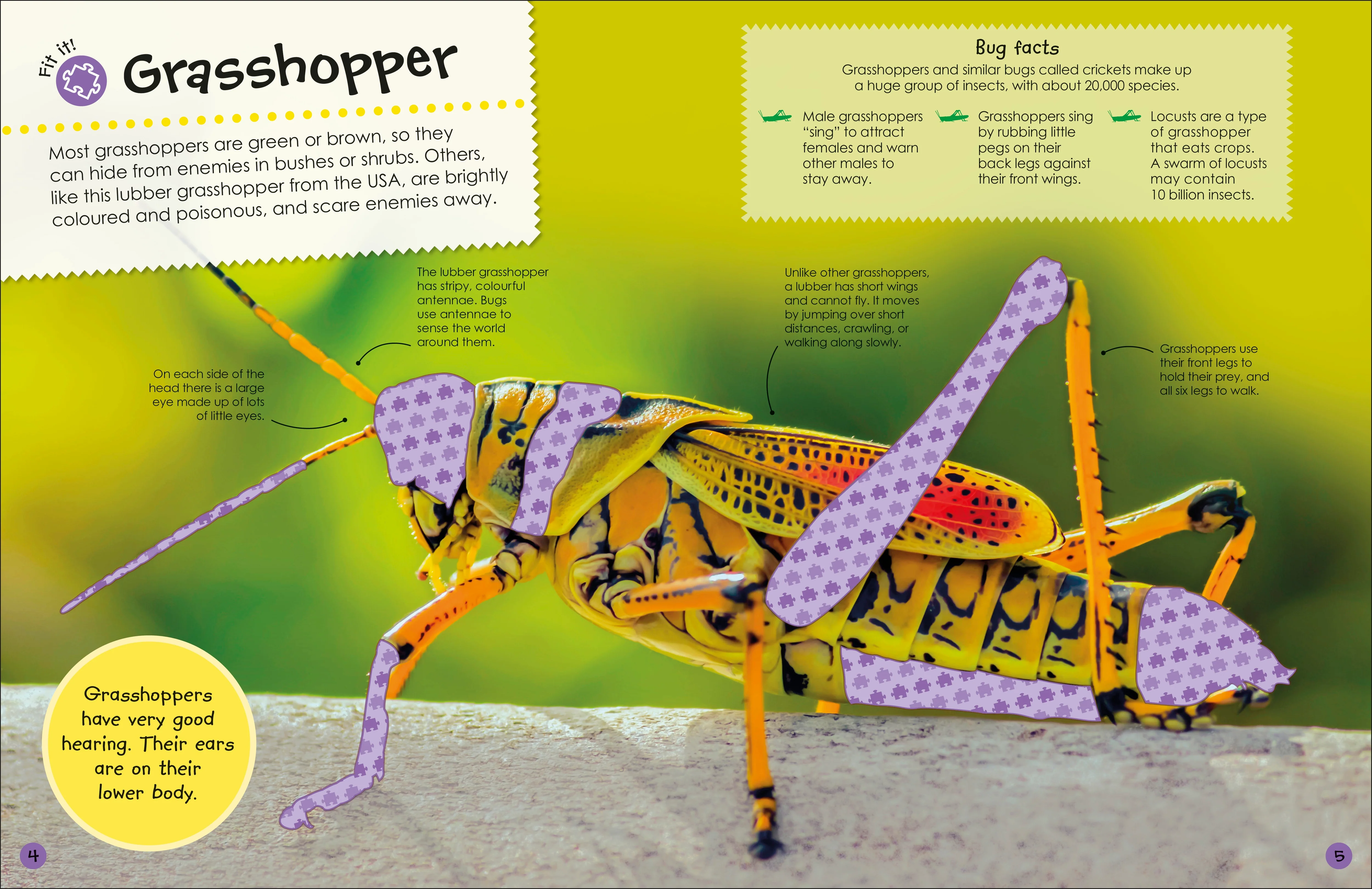 Ultimate Sticker Book Bugs - Image 3