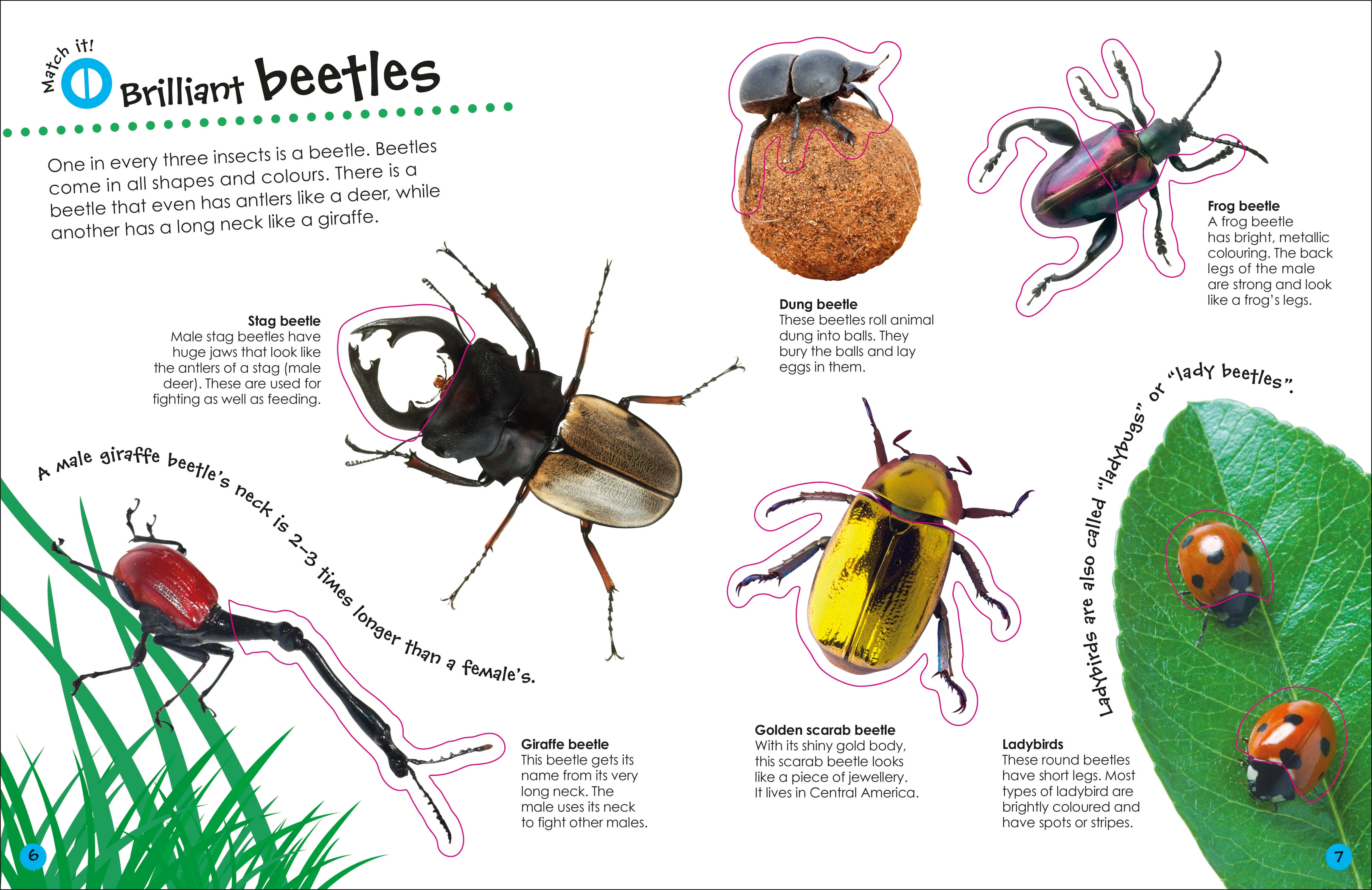 Ultimate Sticker Book Bugs - Image 4