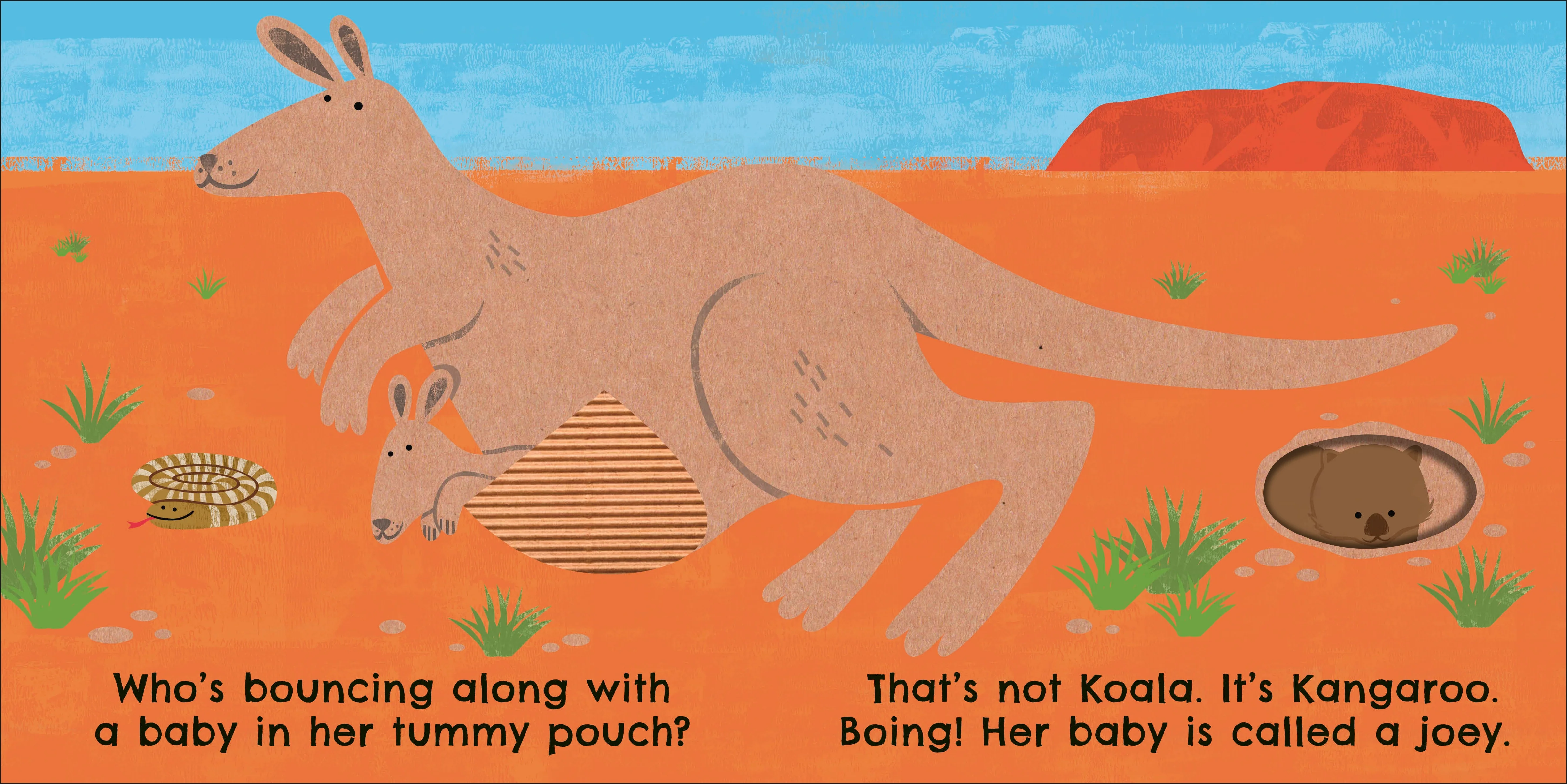 Eco Baby Where Are You Koala? - Image 3