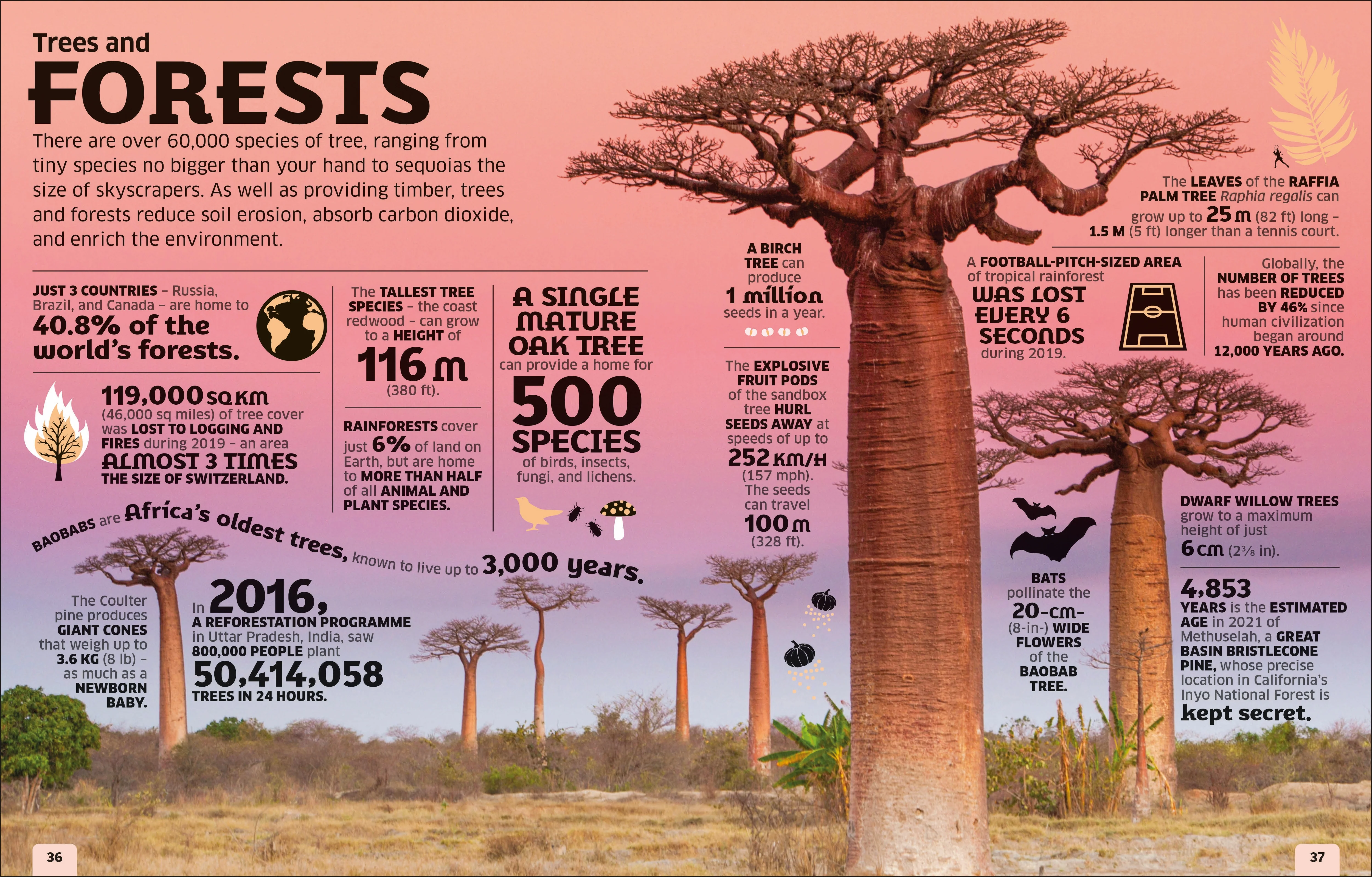 Our World in Numbers - Image 4