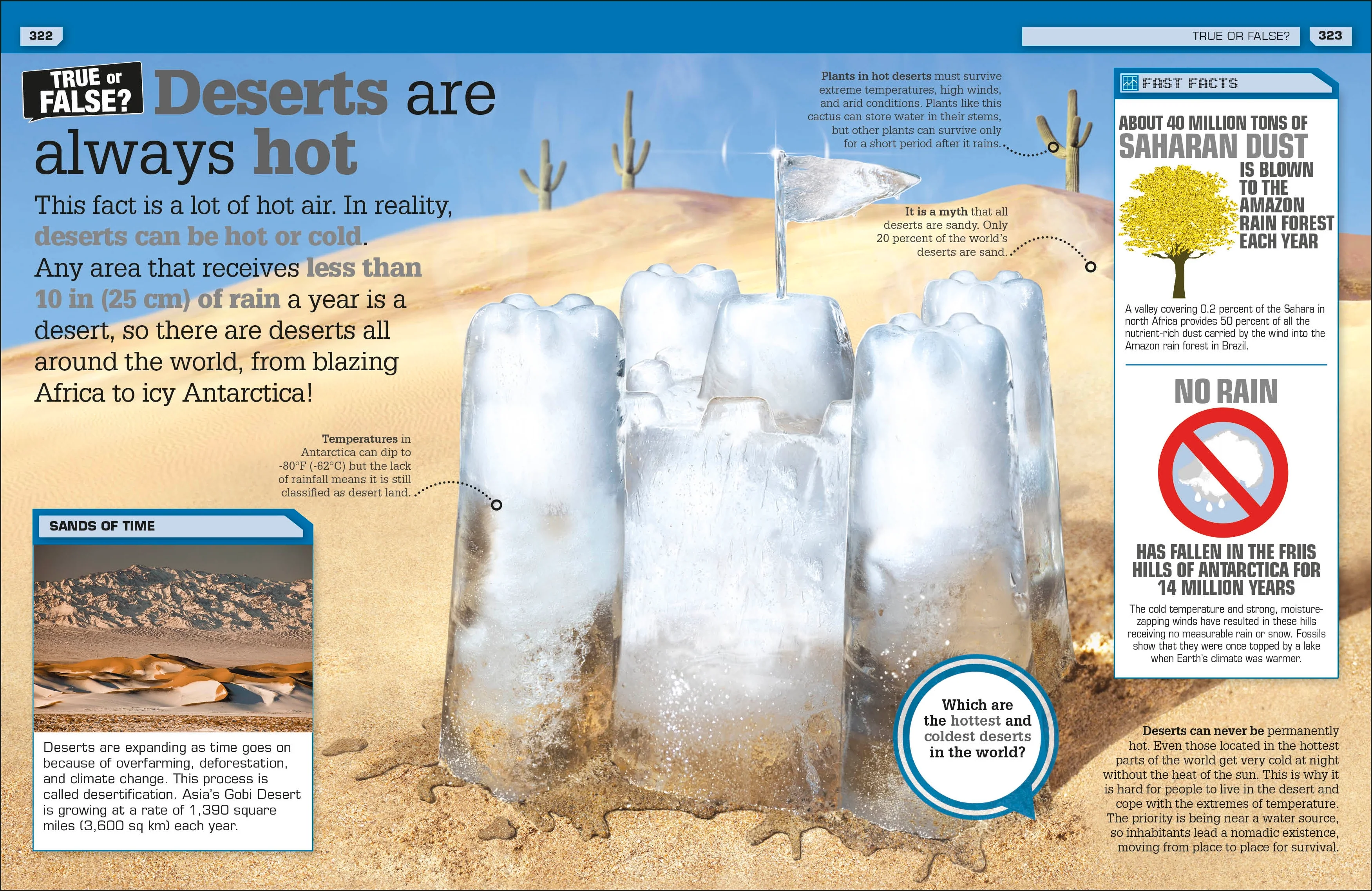 I Can't Believe It! - Image 4