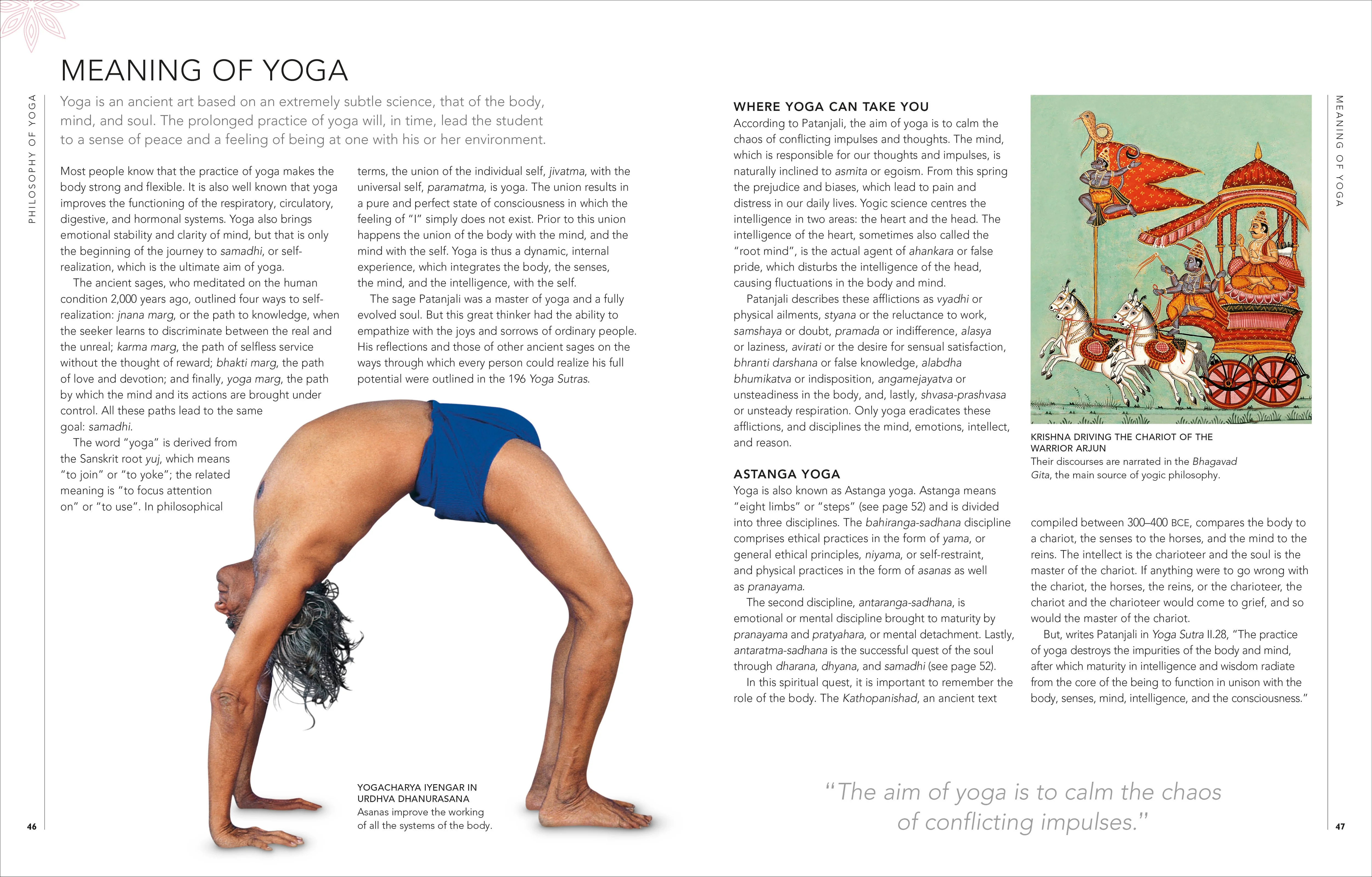 B.K.S. Iyengar Yoga The Path to Holistic Health - Image 2