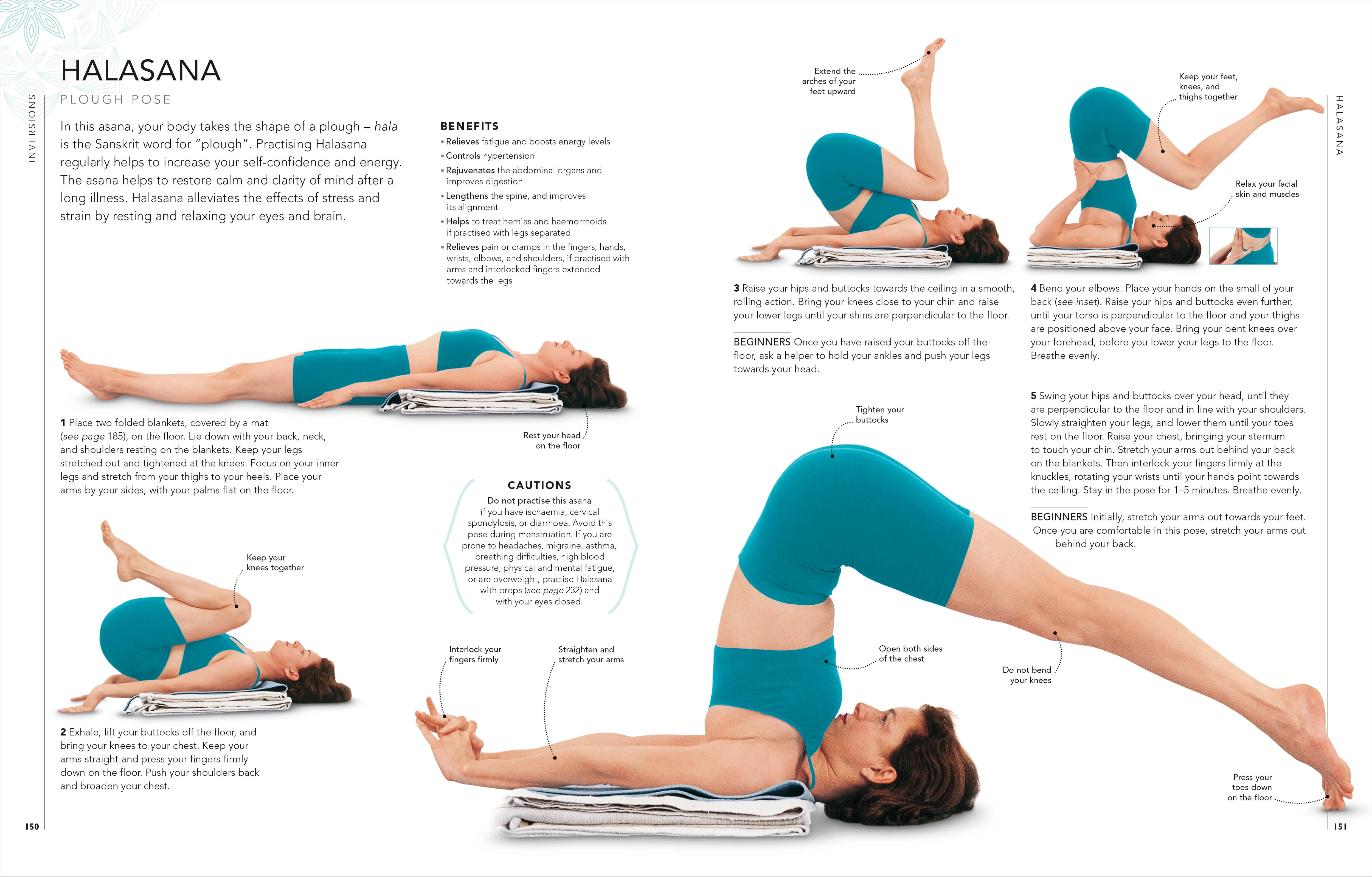 B.K.S. Iyengar Yoga The Path to Holistic Health - Image 3