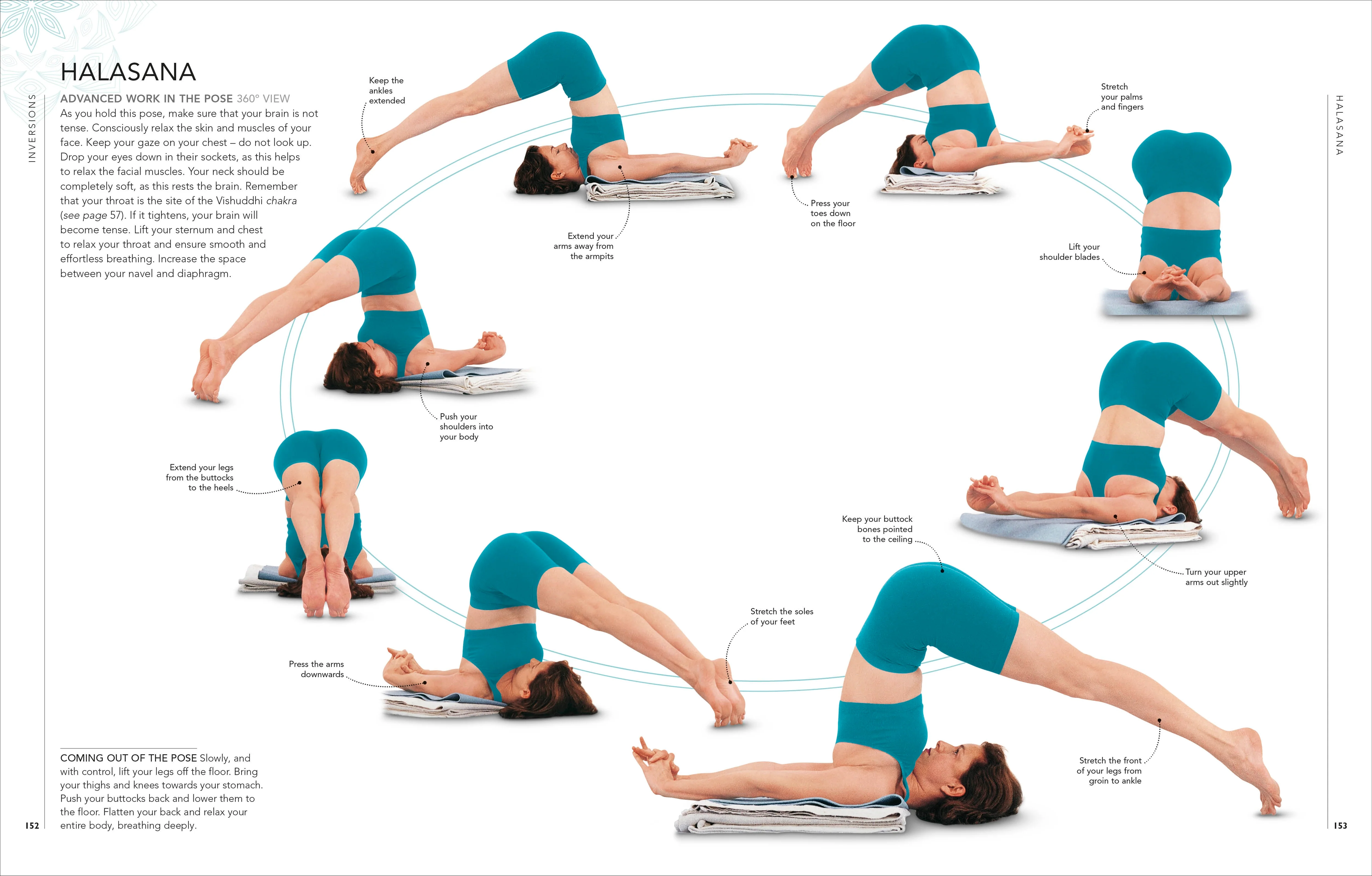 B.K.S. Iyengar Yoga The Path to Holistic Health - Image 4