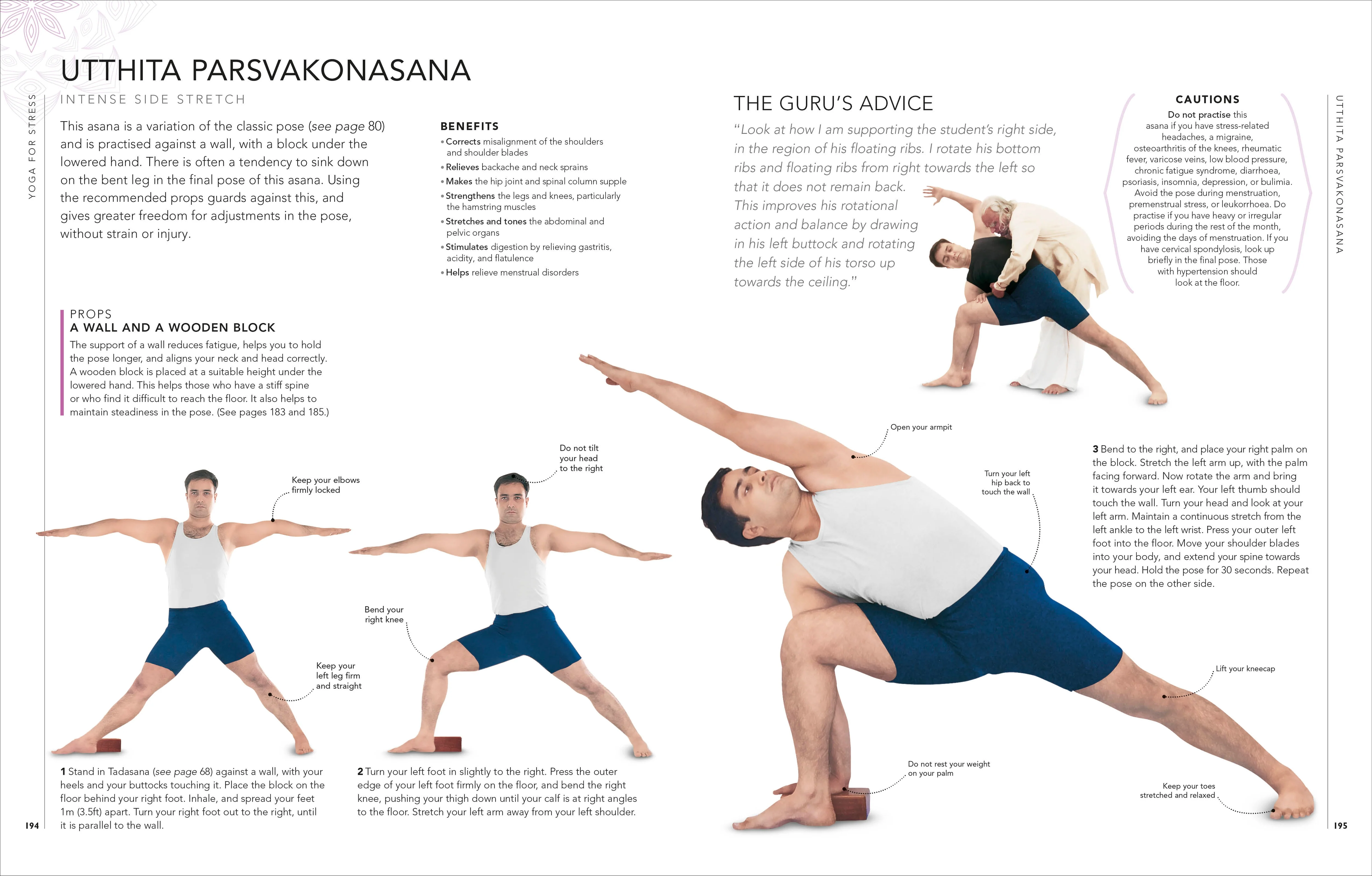 B.K.S. Iyengar Yoga The Path to Holistic Health - Image 5