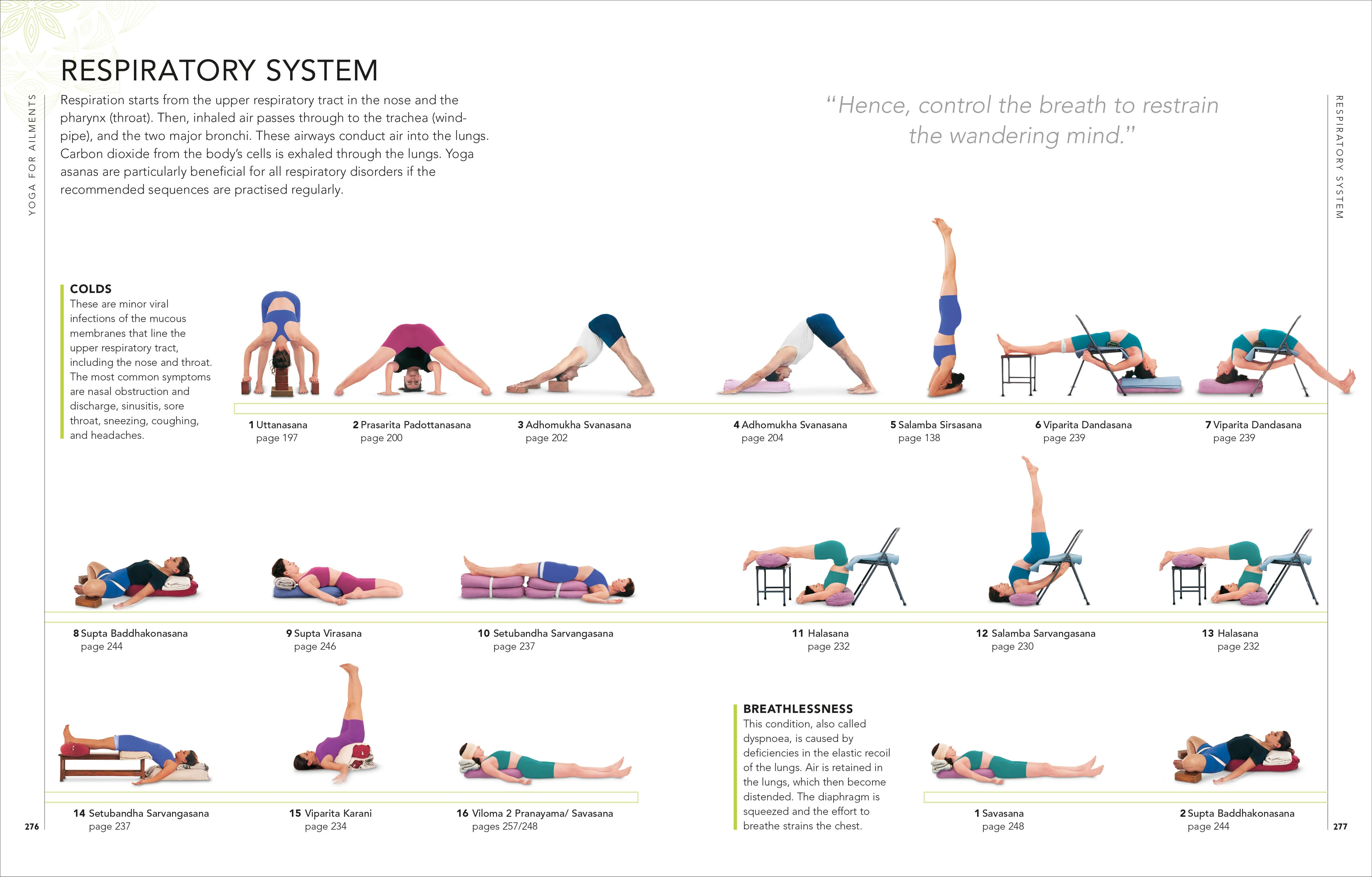 B.K.S. Iyengar Yoga The Path to Holistic Health - Image 6