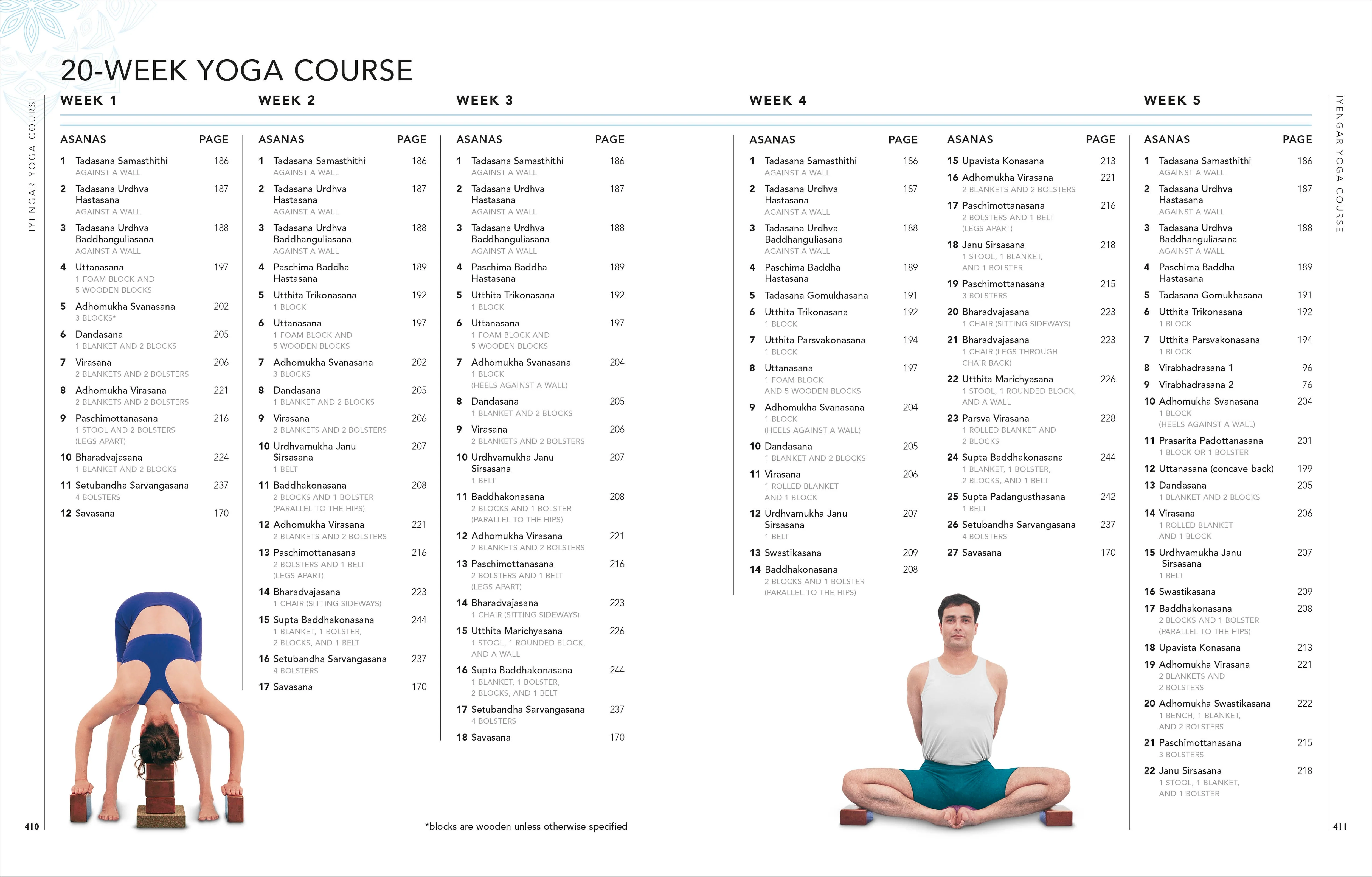 B.K.S. Iyengar Yoga The Path to Holistic Health - Image 7