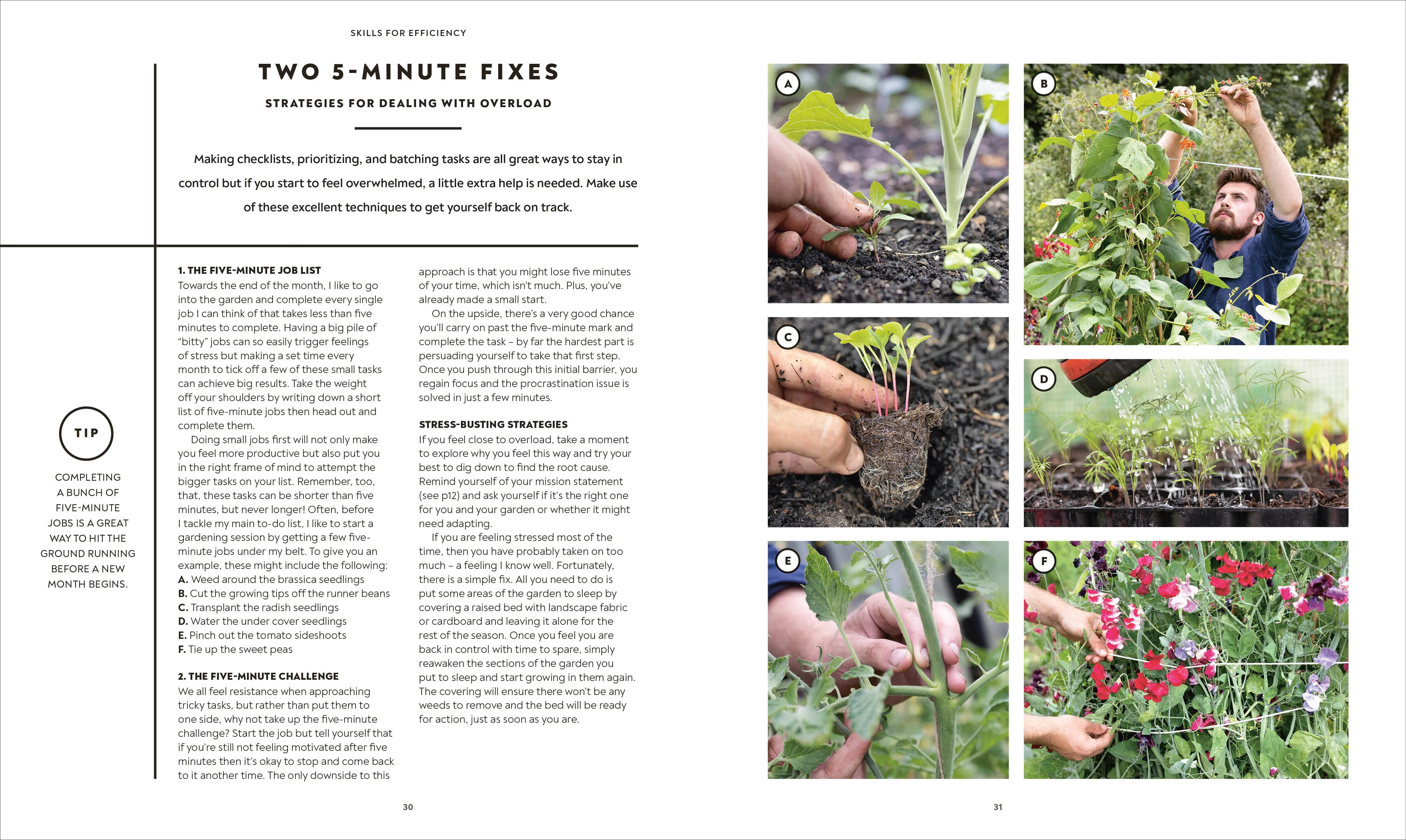 The Vegetable Grower's Handbook - Image 2