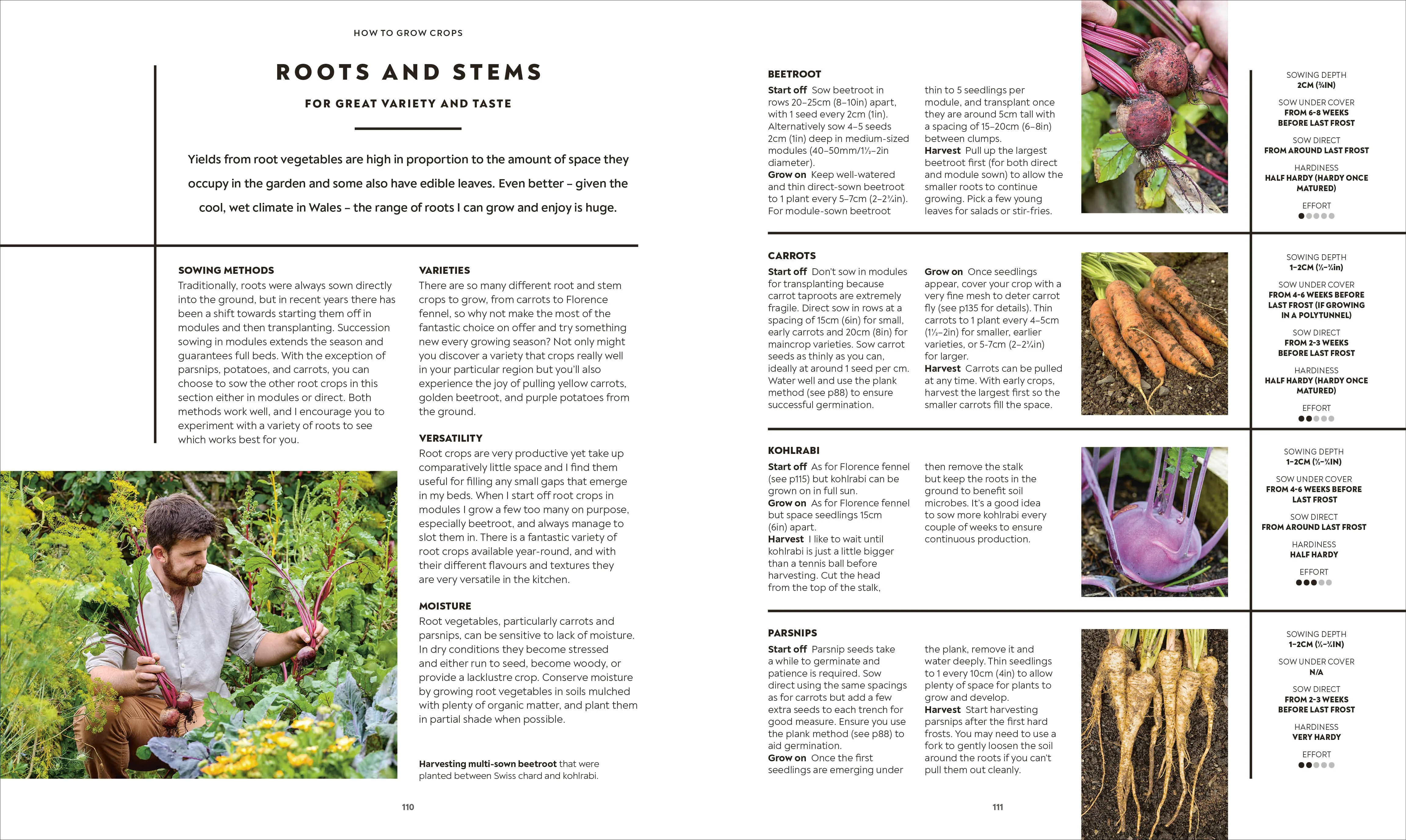 The Vegetable Grower's Handbook - Image 5