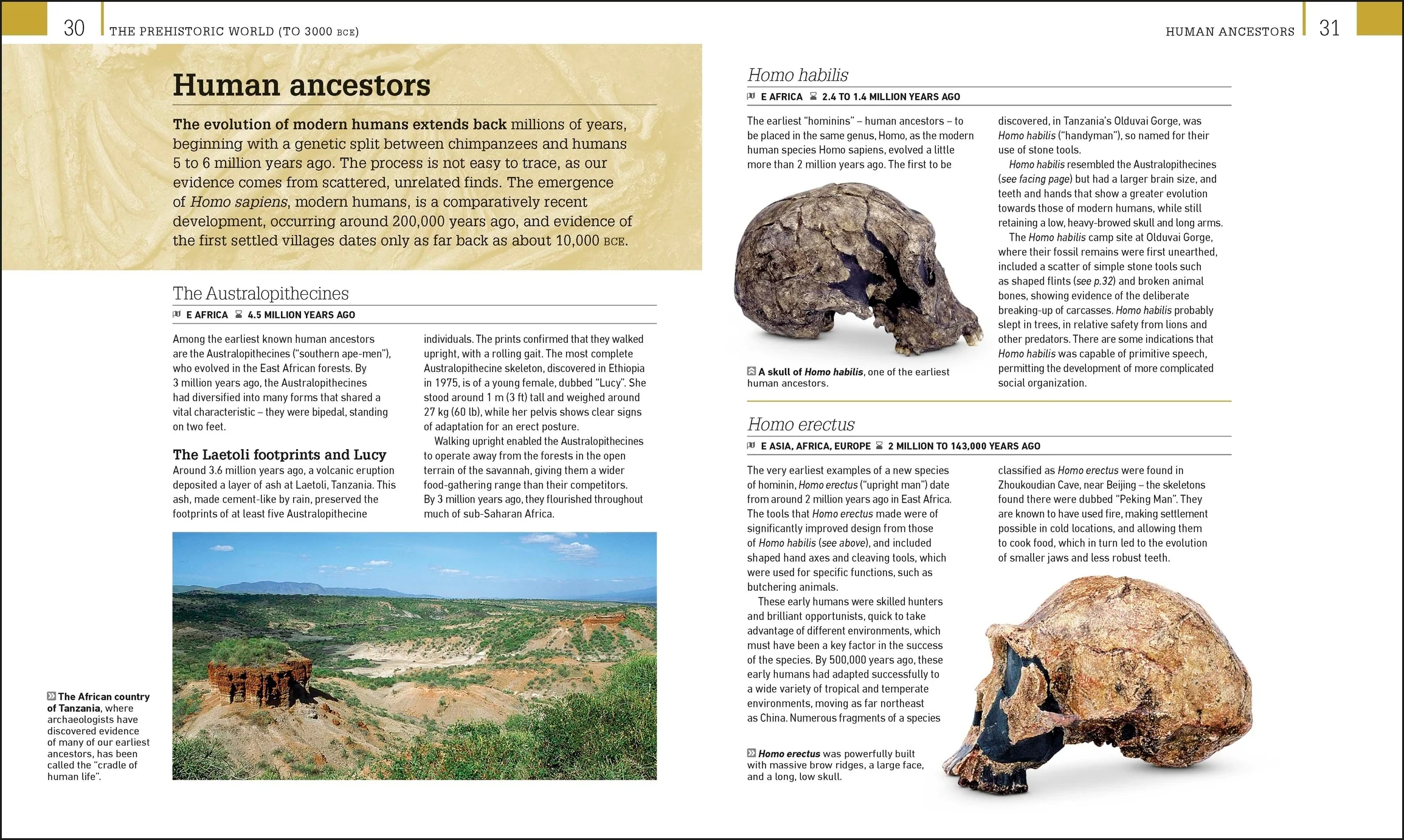 World History - Image 2