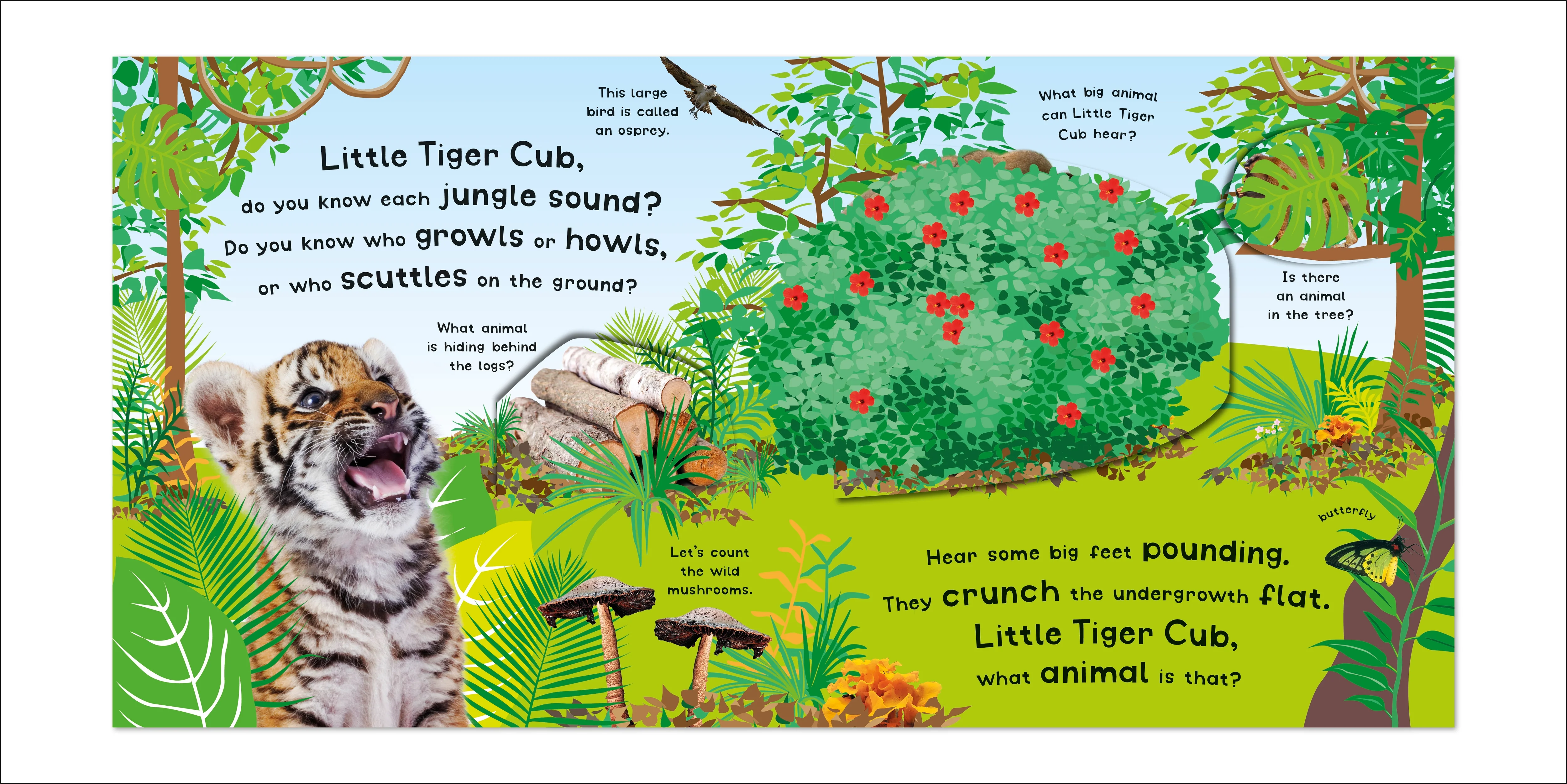 Growl! Howl! Animals - Image 2