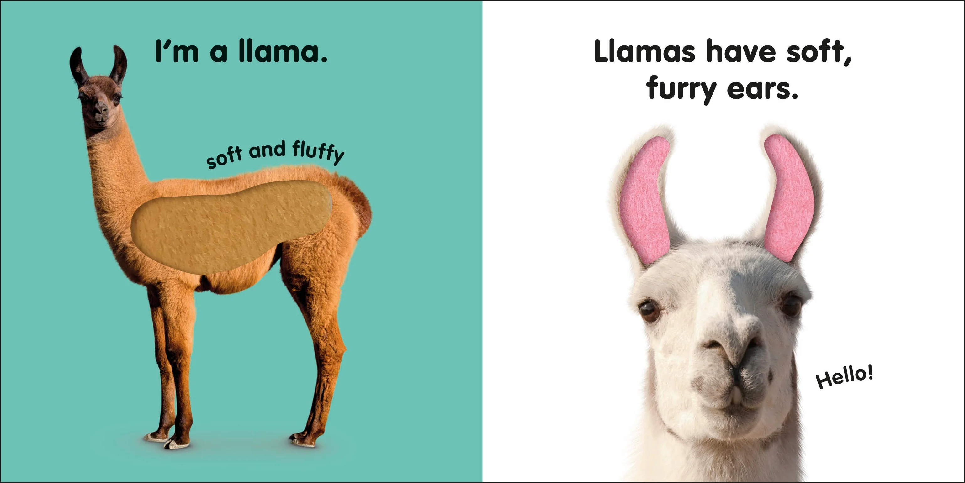 Baby Touch and Feel Llama - Image 2
