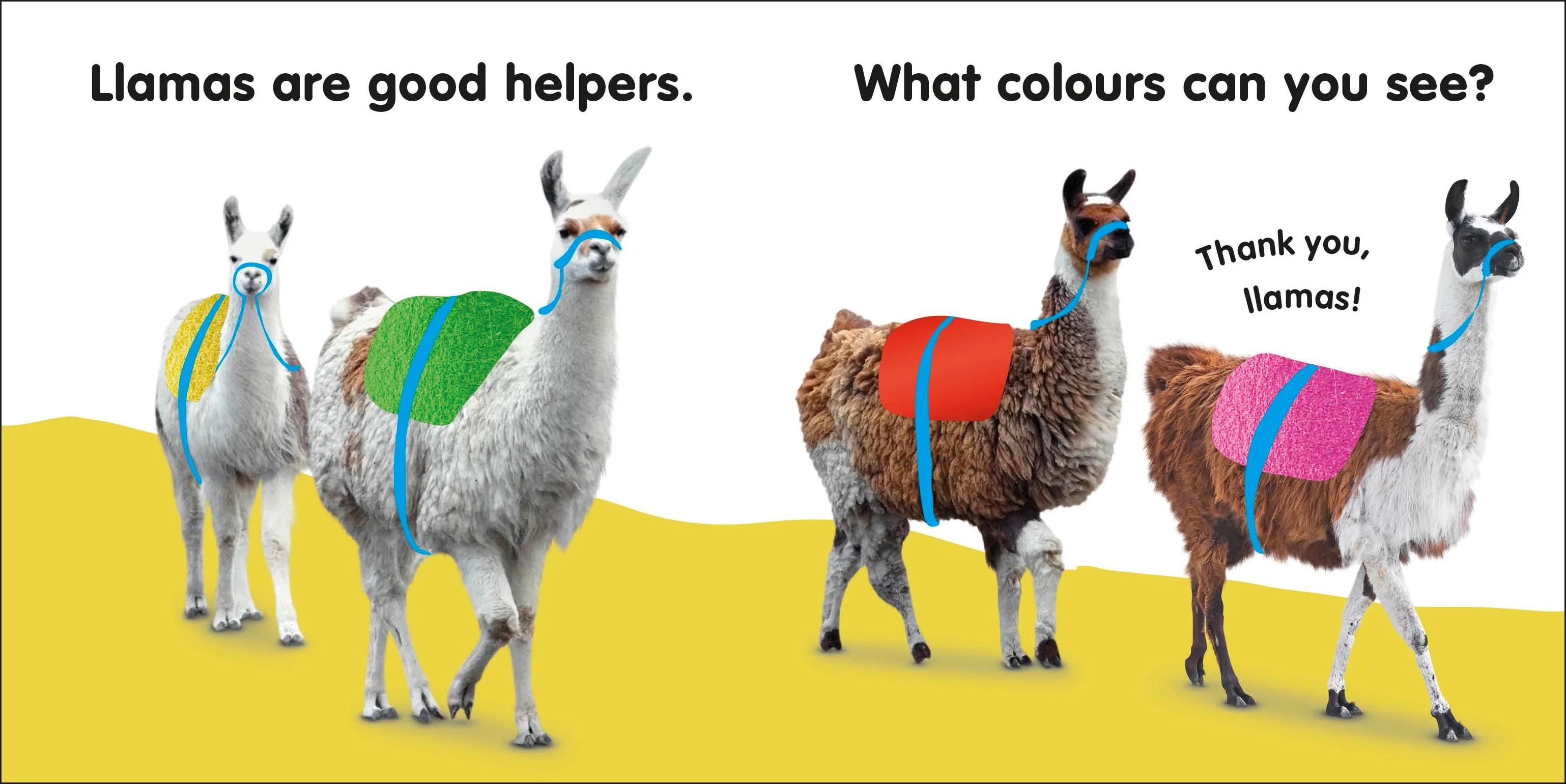 Baby Touch and Feel Llama - Image 3