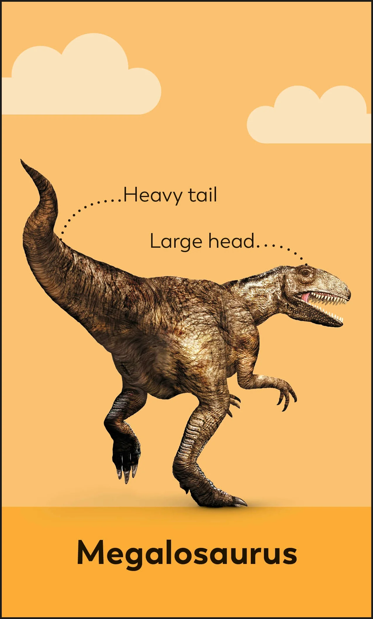 My First Dinosaur Flash Cards - Image 4