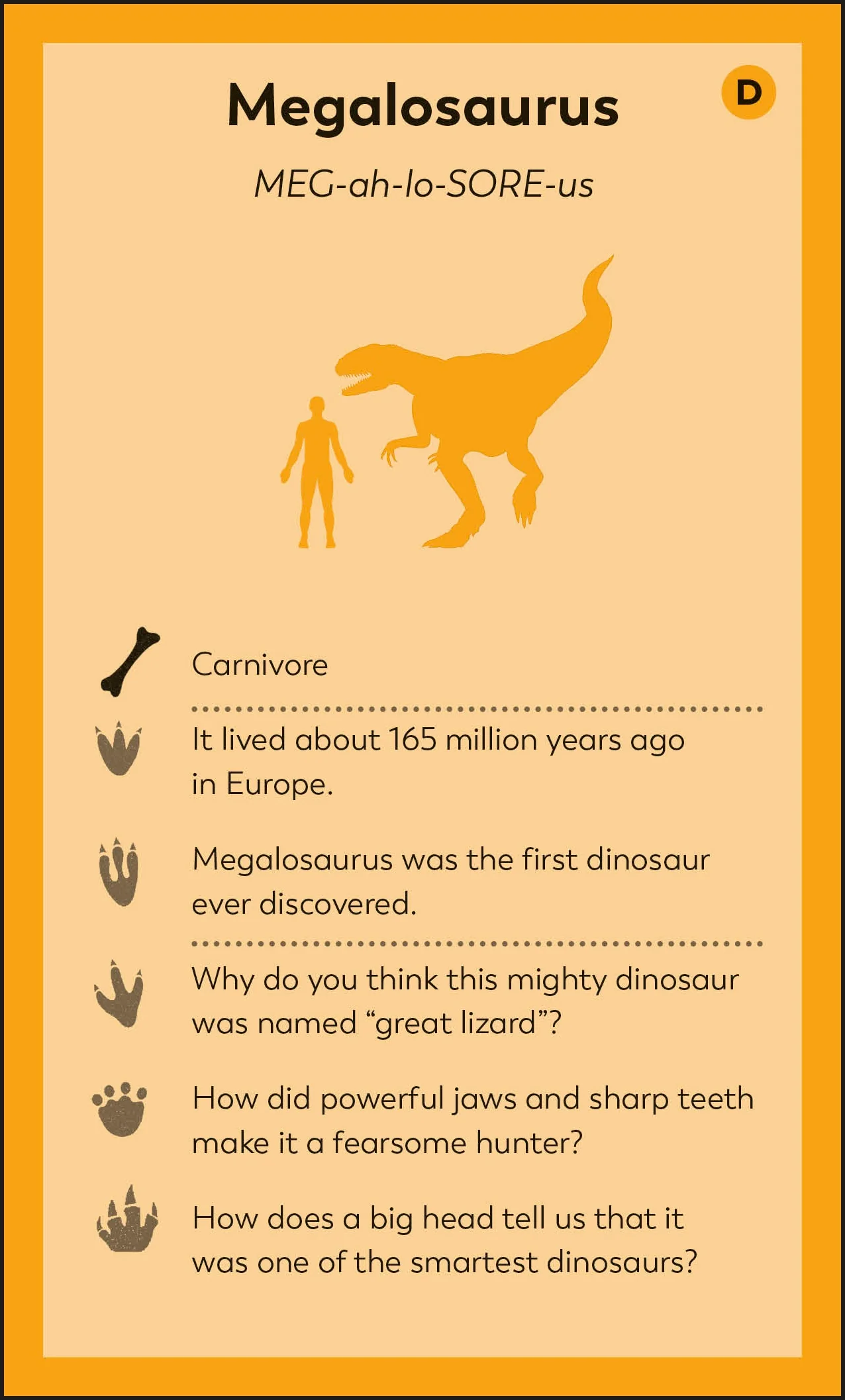 My First Dinosaur Flash Cards - Image 5