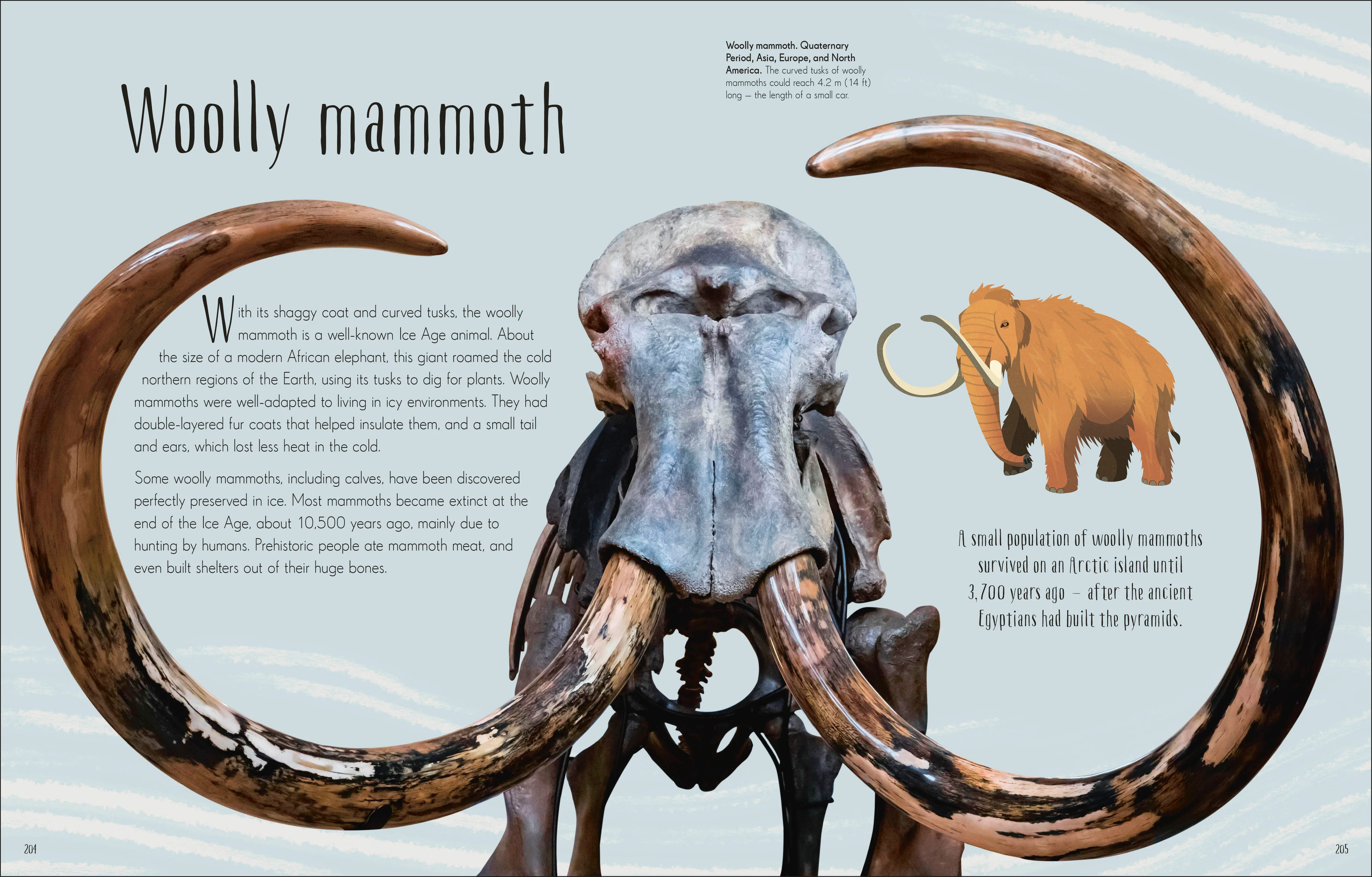 Dinosaurs and Other Prehistoric Life - Image 10