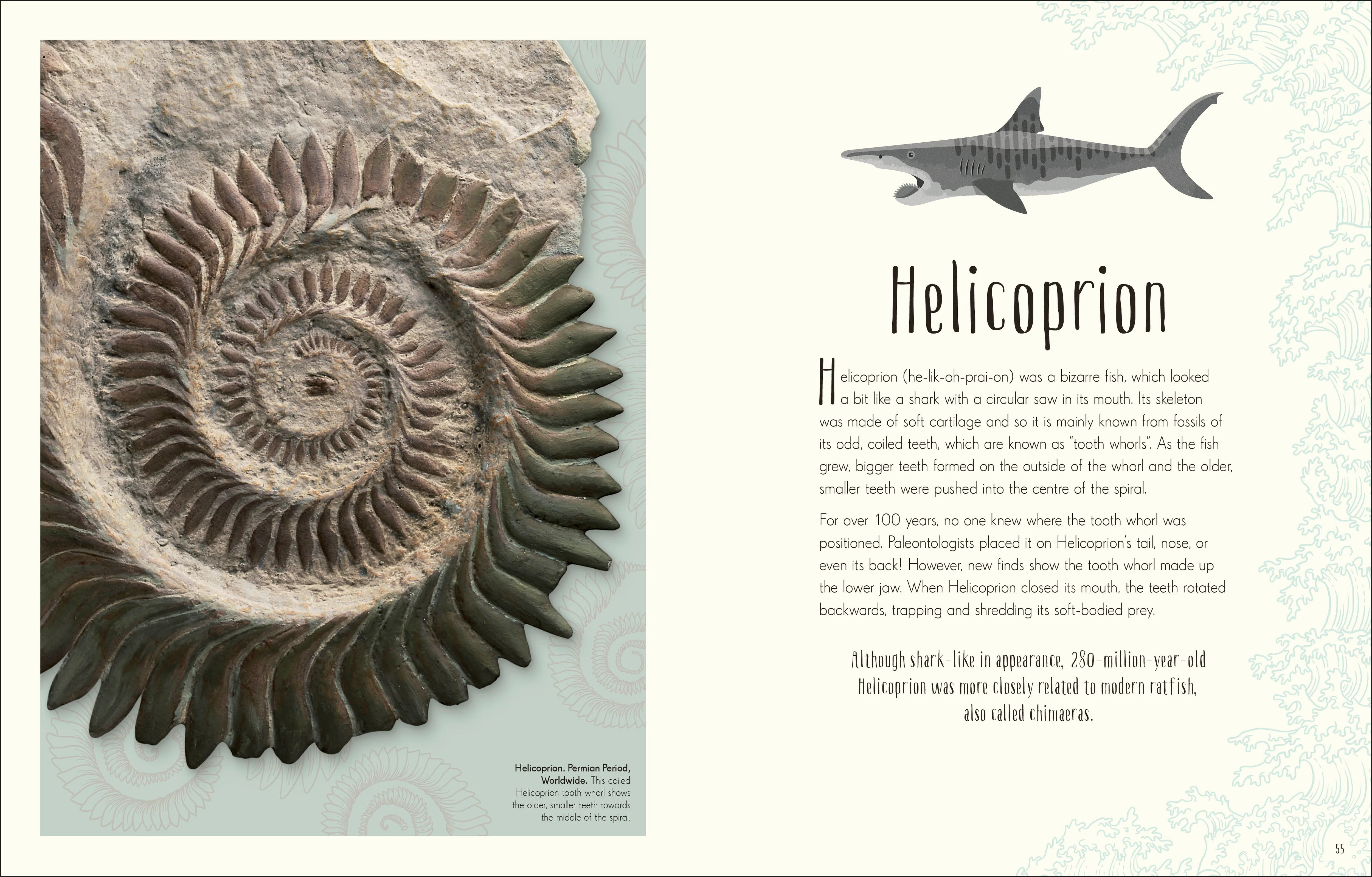 Dinosaurs and Other Prehistoric Life - Image 3