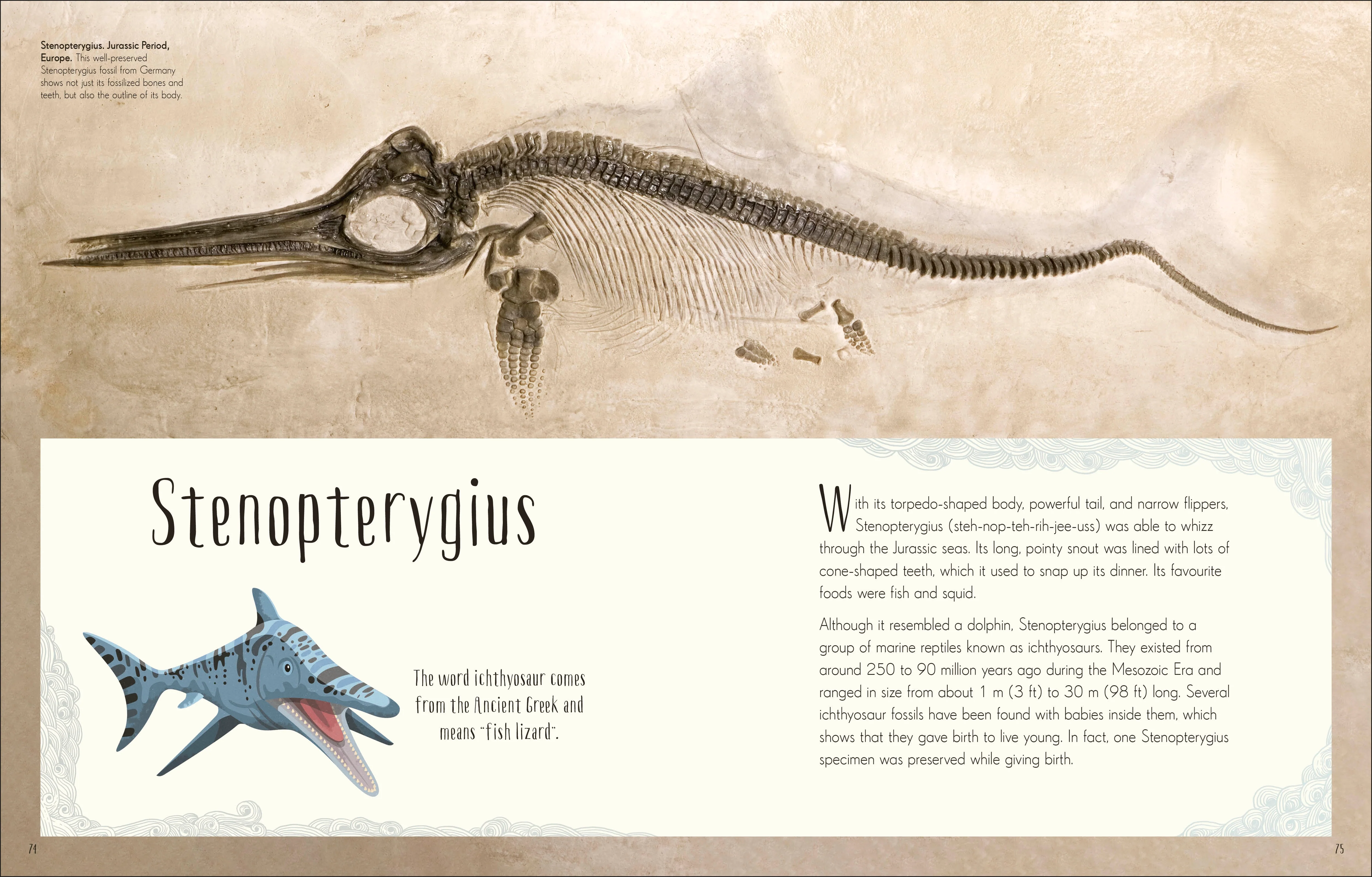 Dinosaurs and Other Prehistoric Life - Image 5