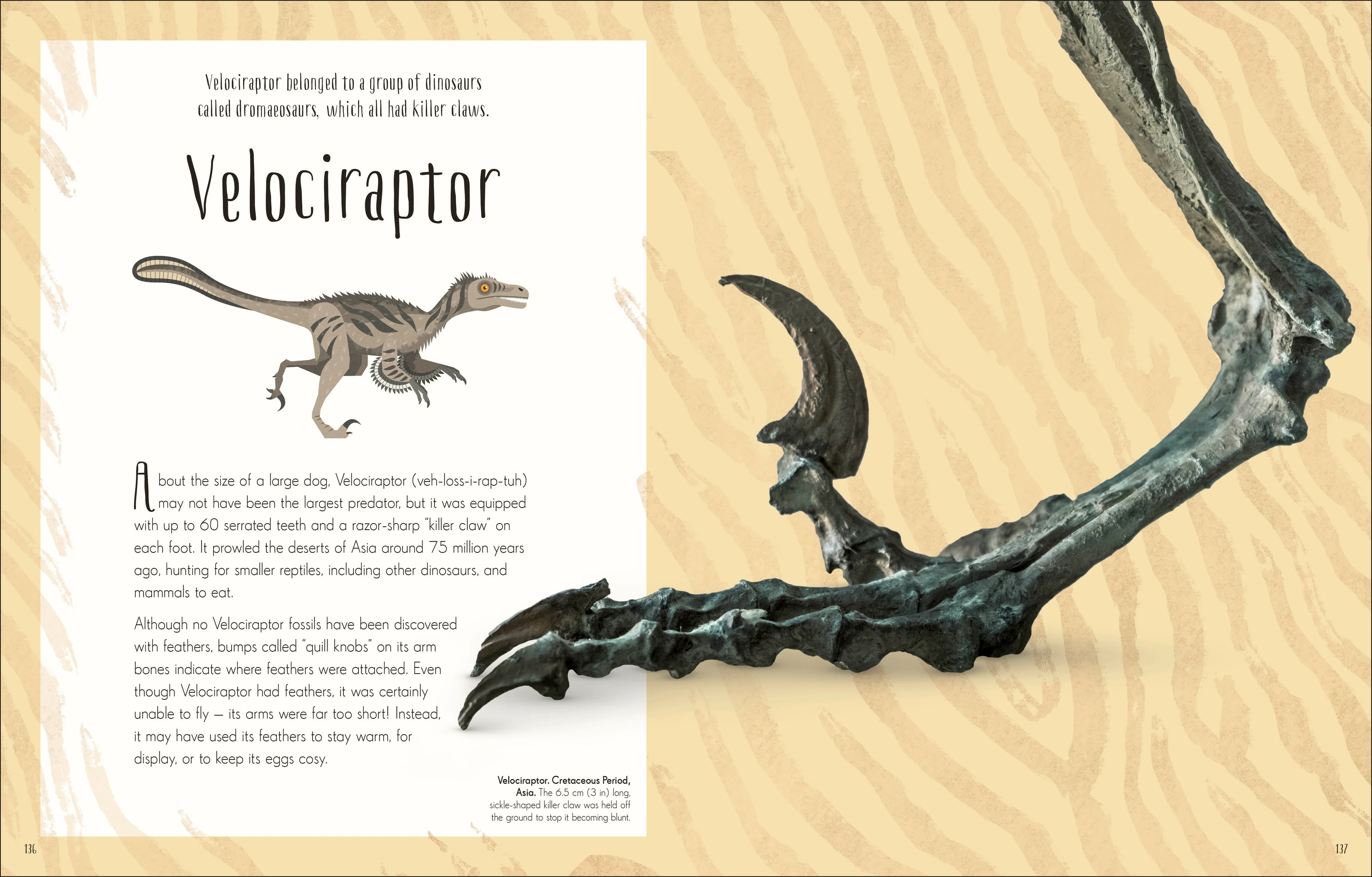 Dinosaurs and Other Prehistoric Life - Image 7