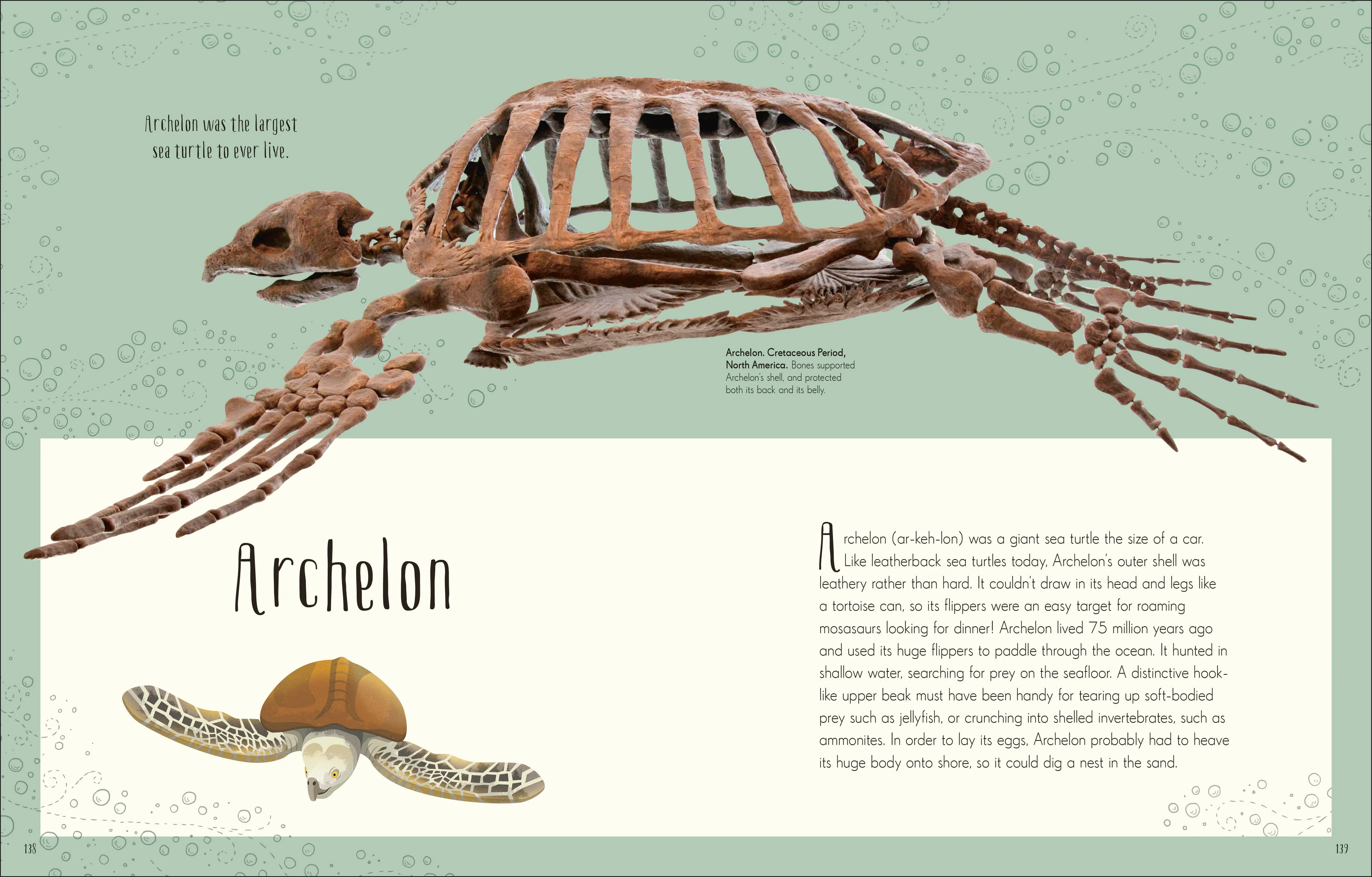 Dinosaurs and Other Prehistoric Life - Image 8