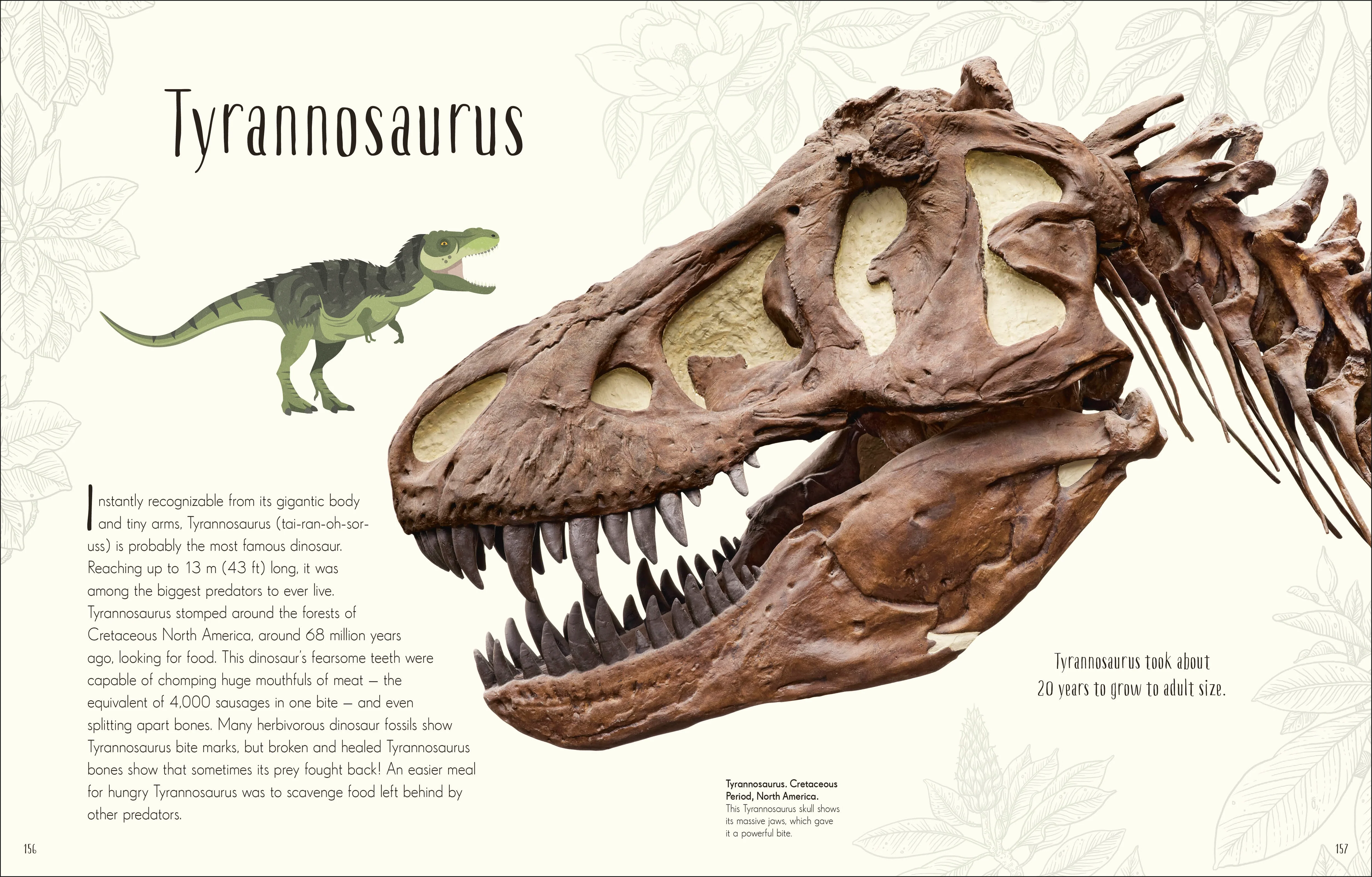 Dinosaurs and Other Prehistoric Life - Image 9