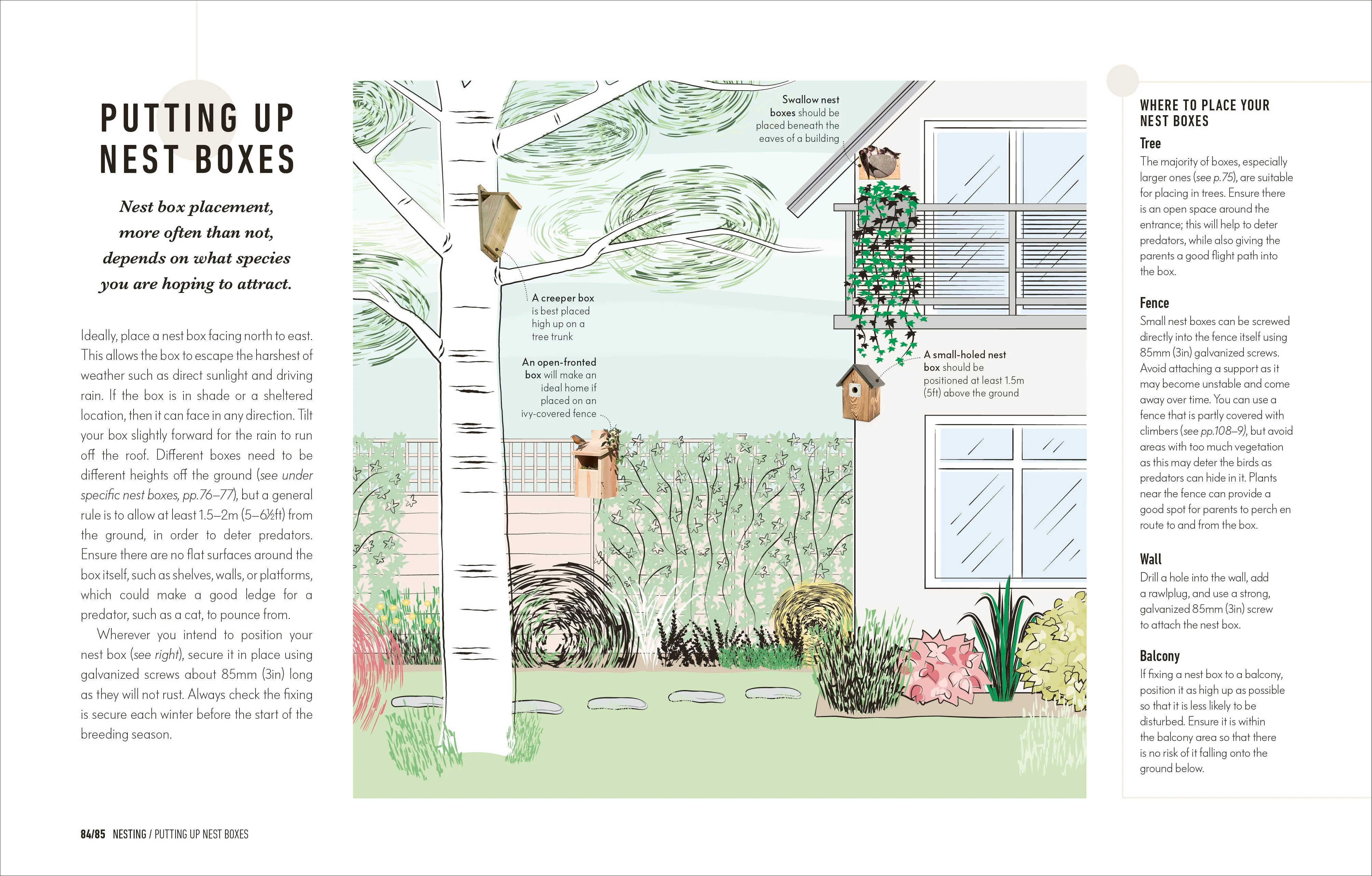 How to Attract Birds to Your Garden - Image 3