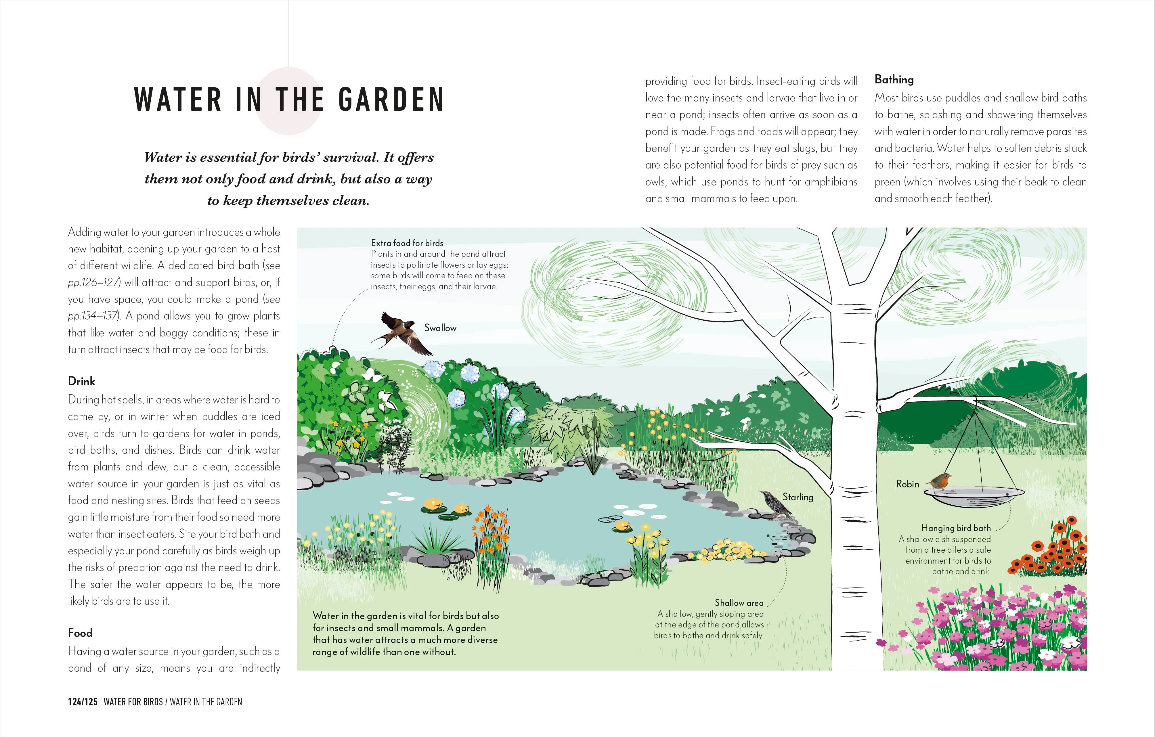 How to Attract Birds to Your Garden - Image 6