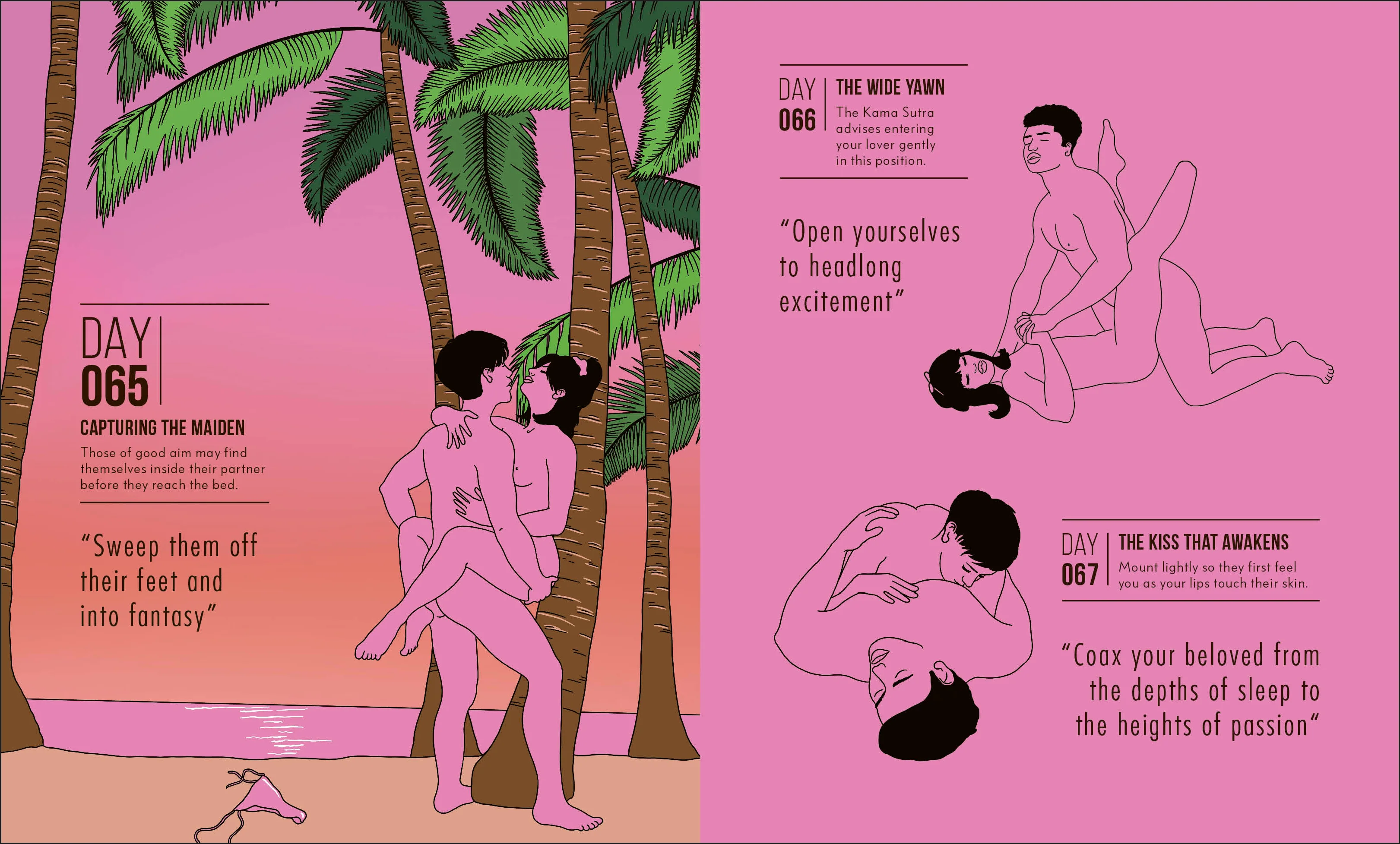 Kama Sutra A Position A Day New Edition - Image 2