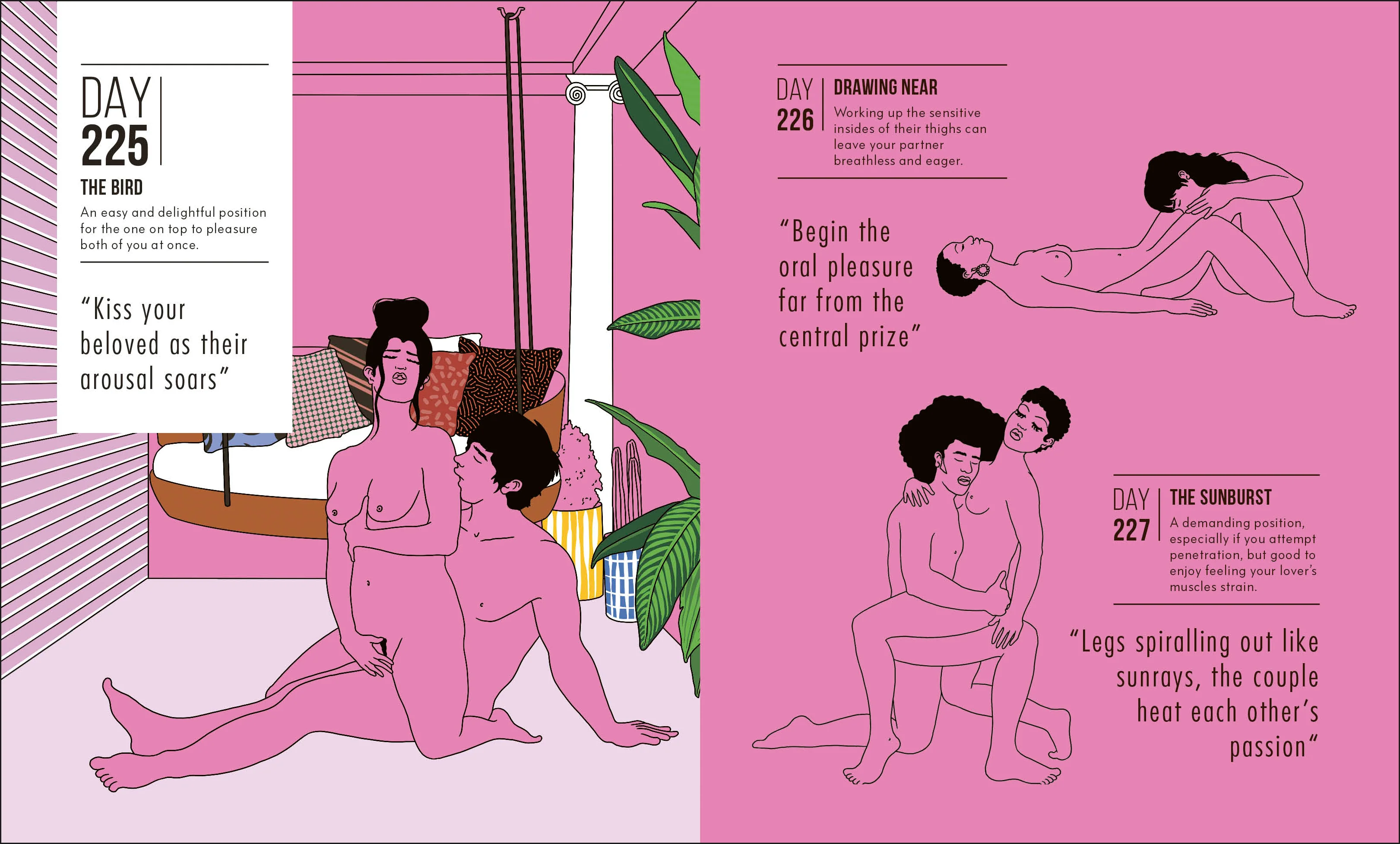Kama Sutra A Position A Day New Edition - Image 4