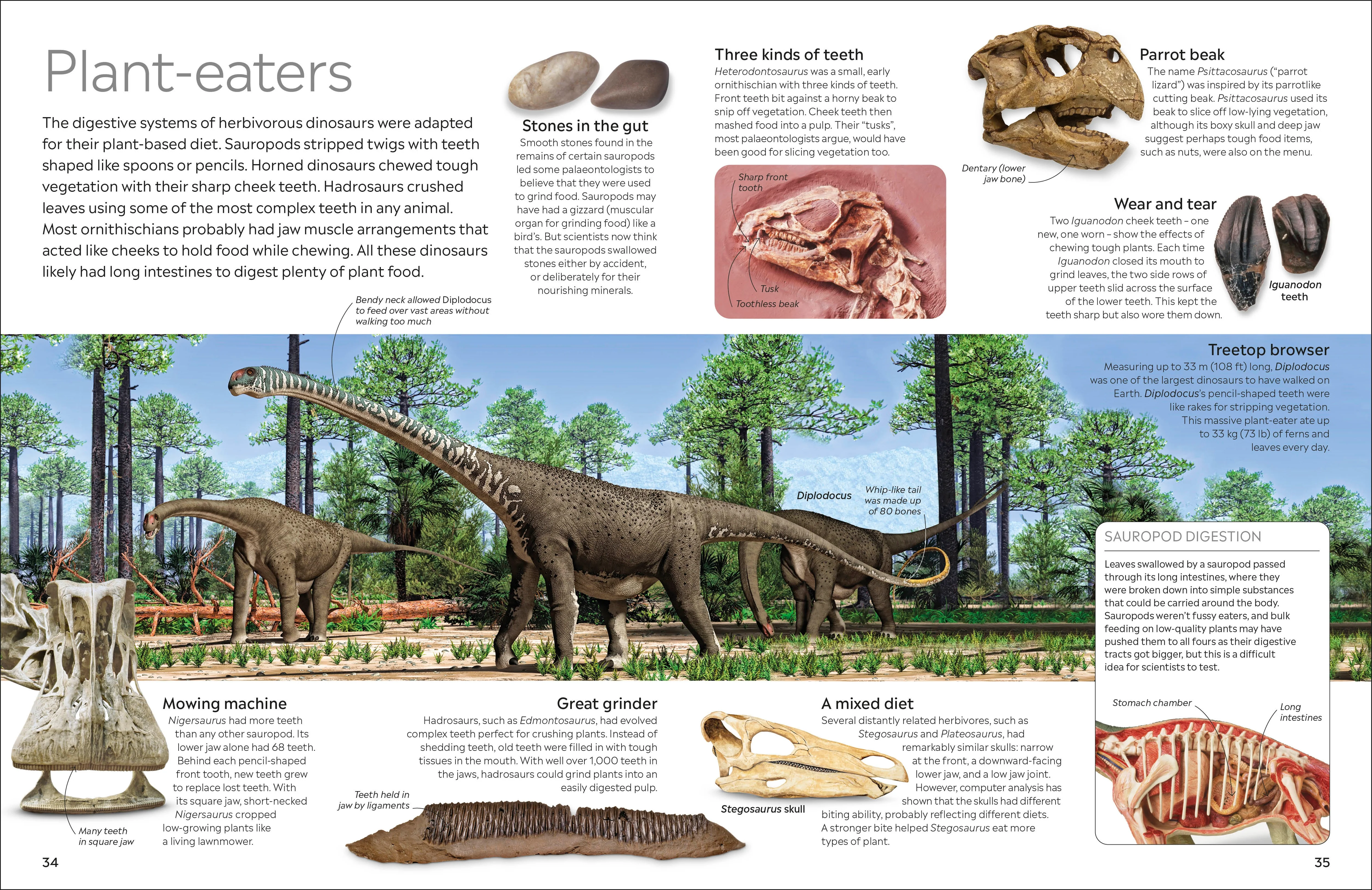 Dinosaur - Image 3