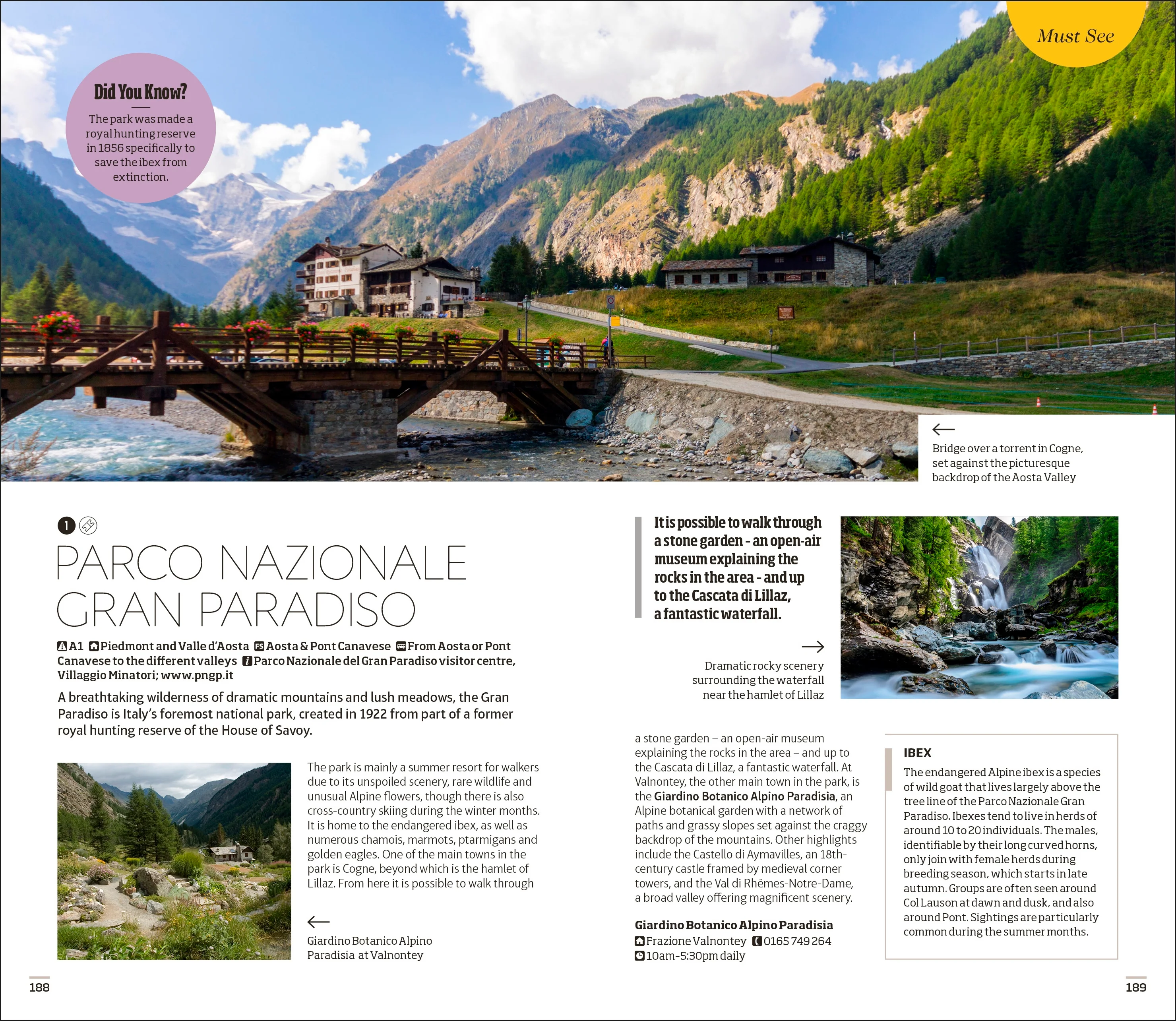 DK Italy - Image 6