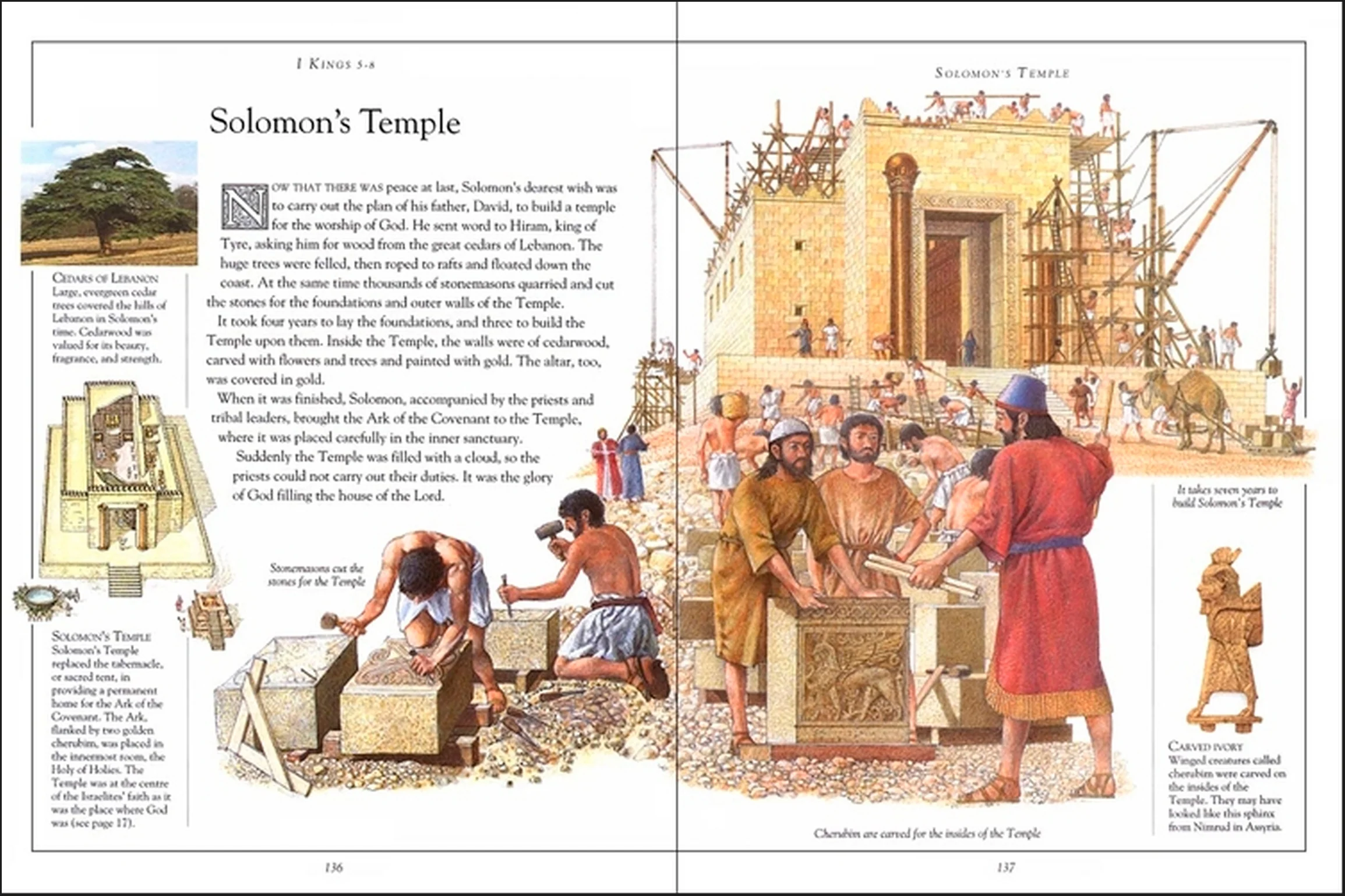The Children's Pocket Bible - Image 2
