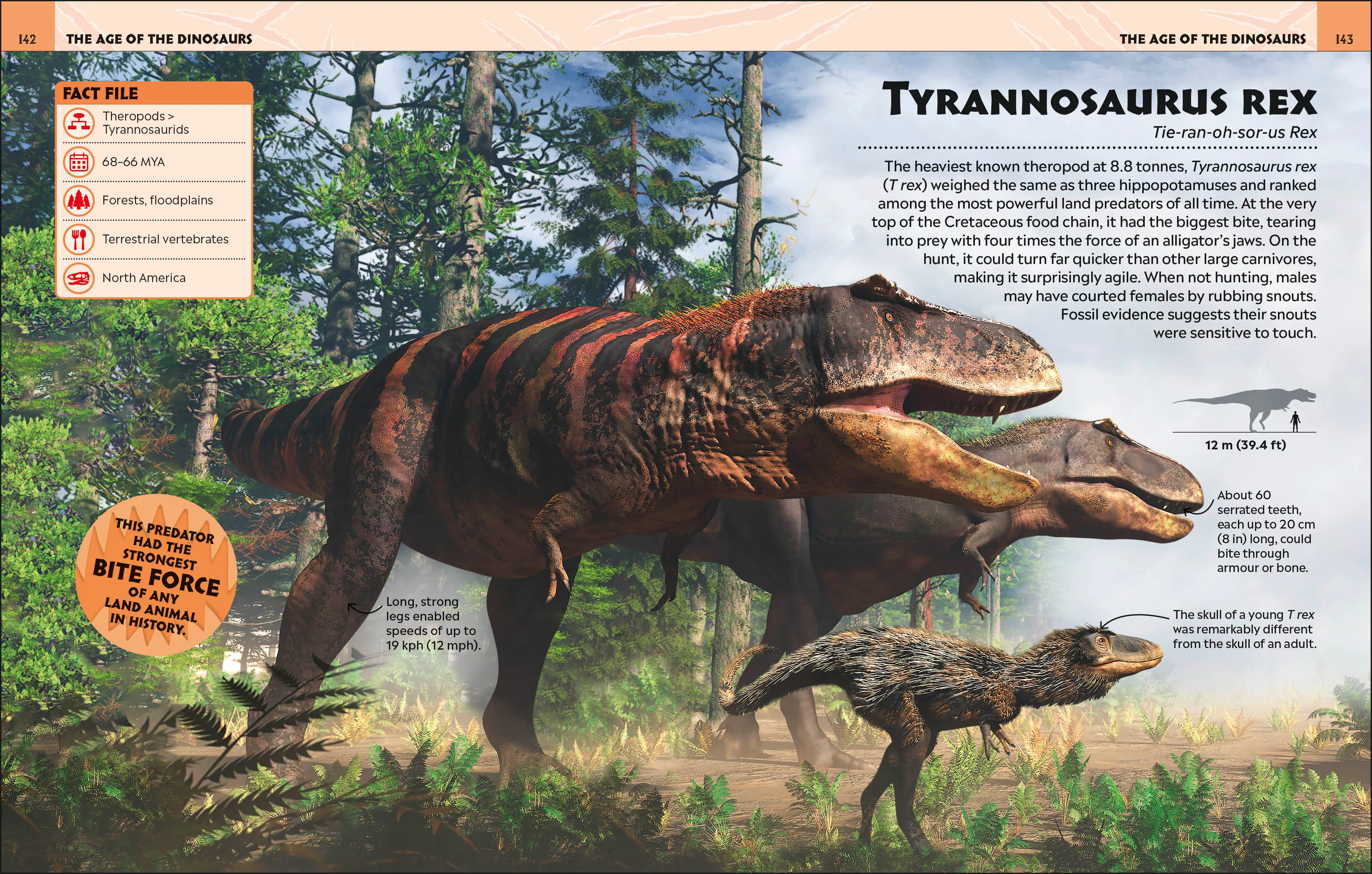 Extraordinary Dinosaurs and Other Prehistoric Life Visual Encyclopedia - Image 6