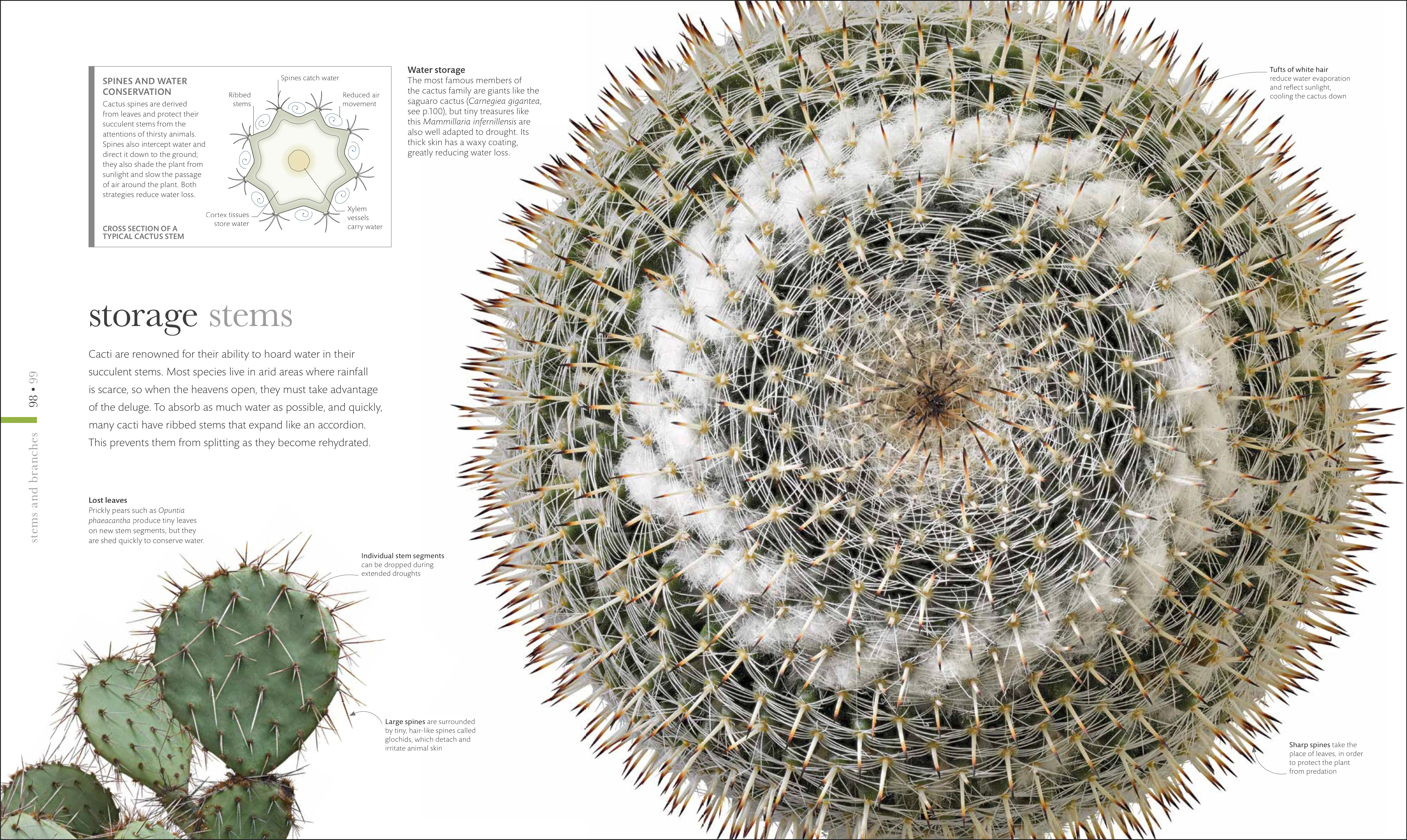 The Science of Plants - Image 3
