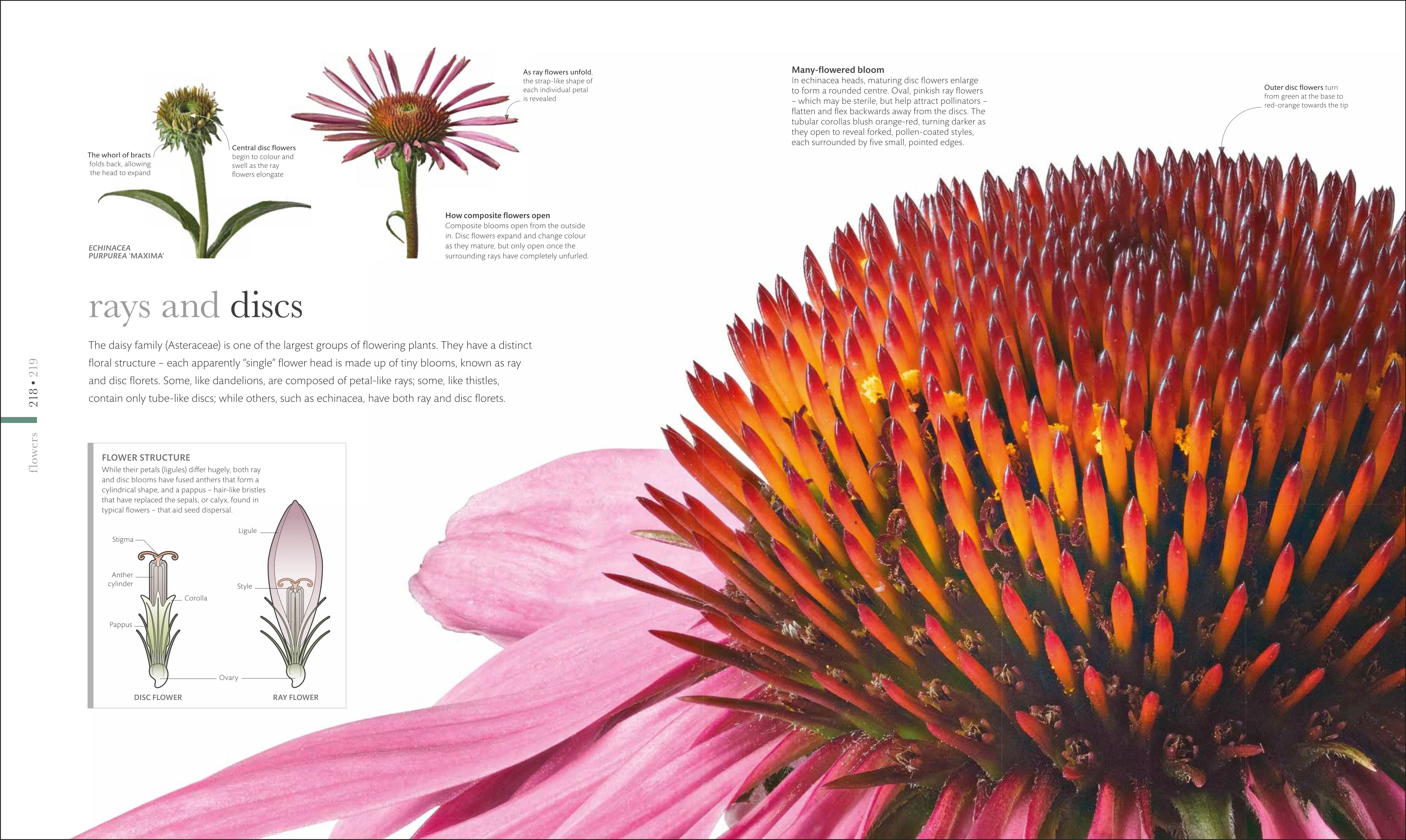 The Science of Plants - Image 7