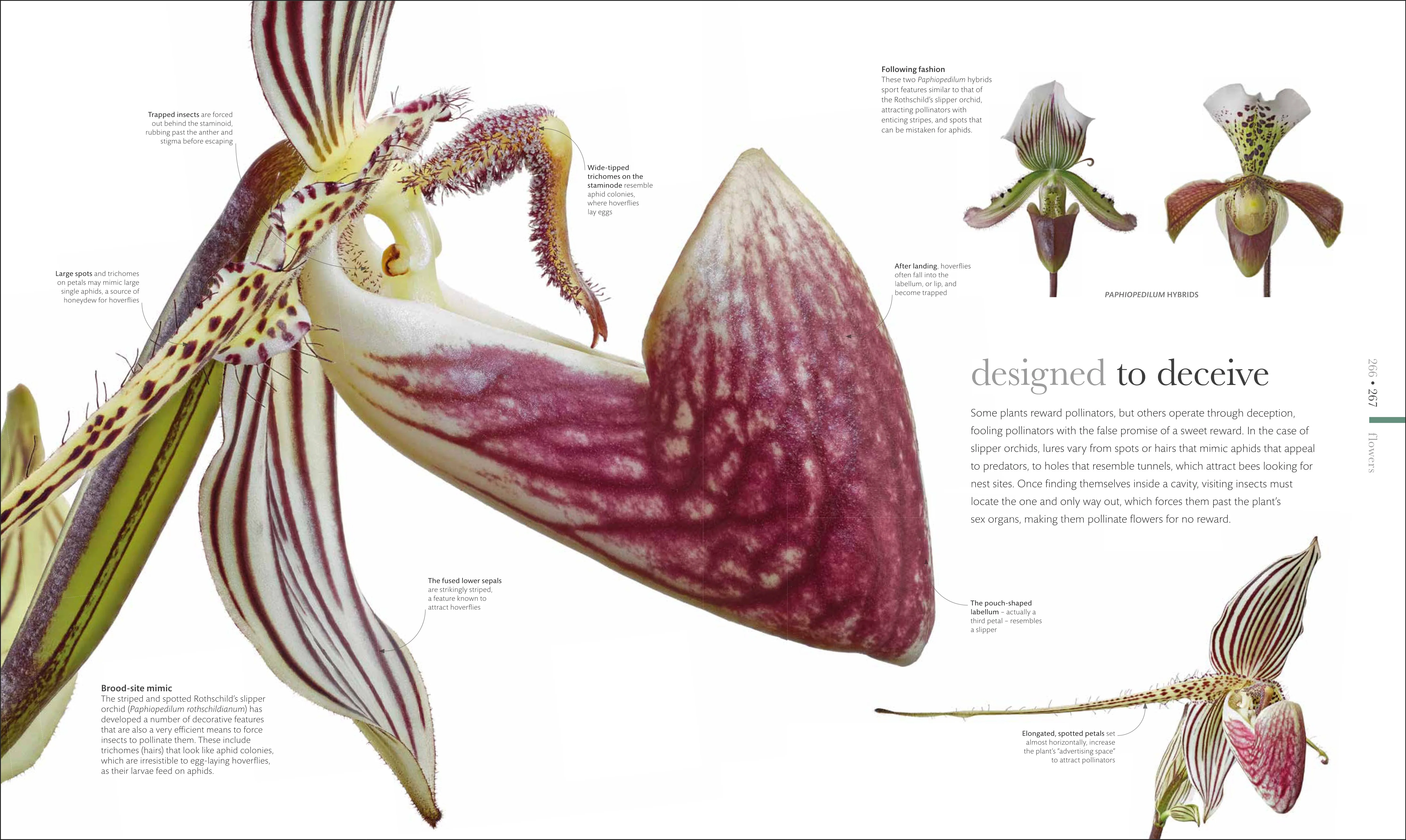 The Science of Plants - Image 8