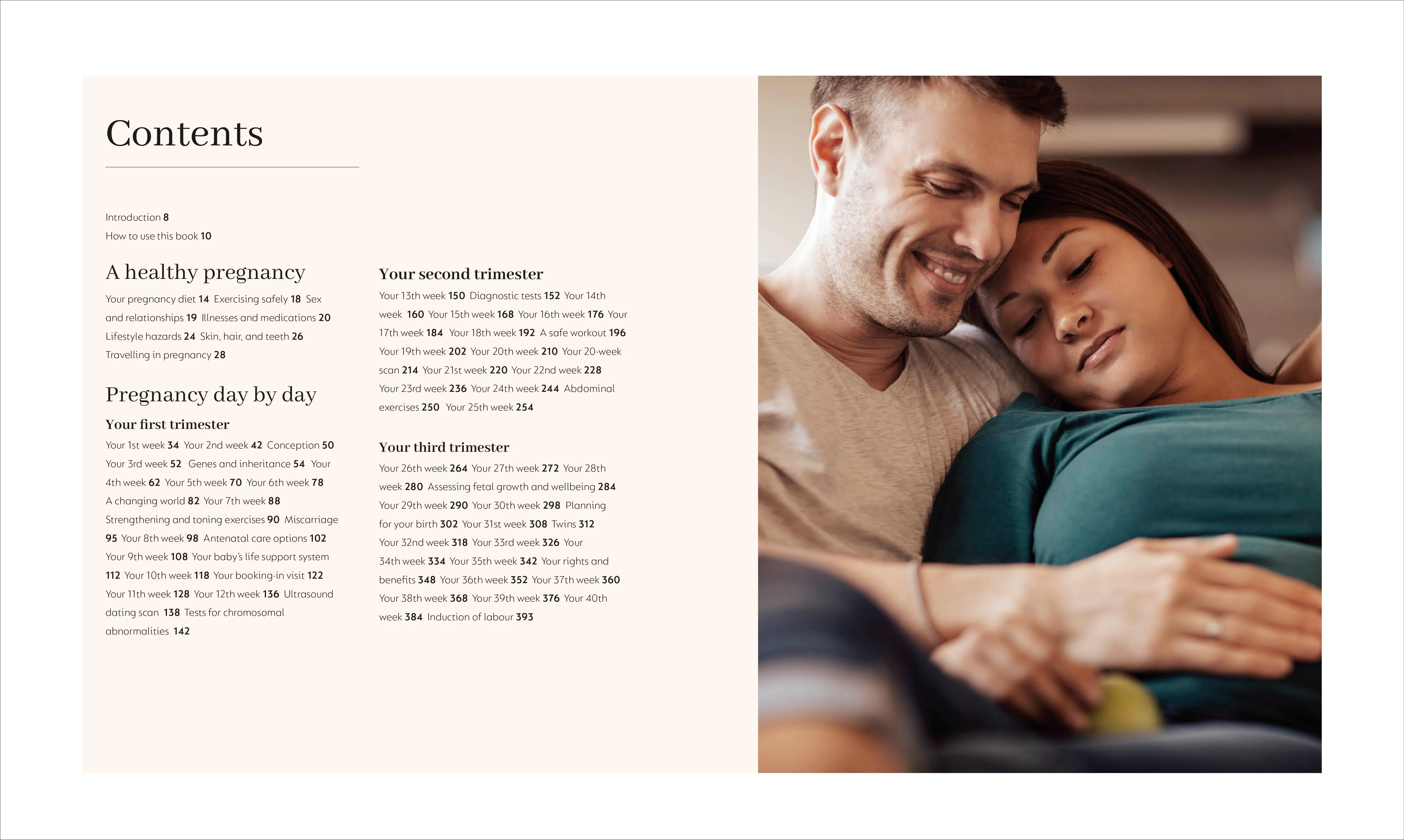 The Day-by-Day Pregnancy Book - Image 2