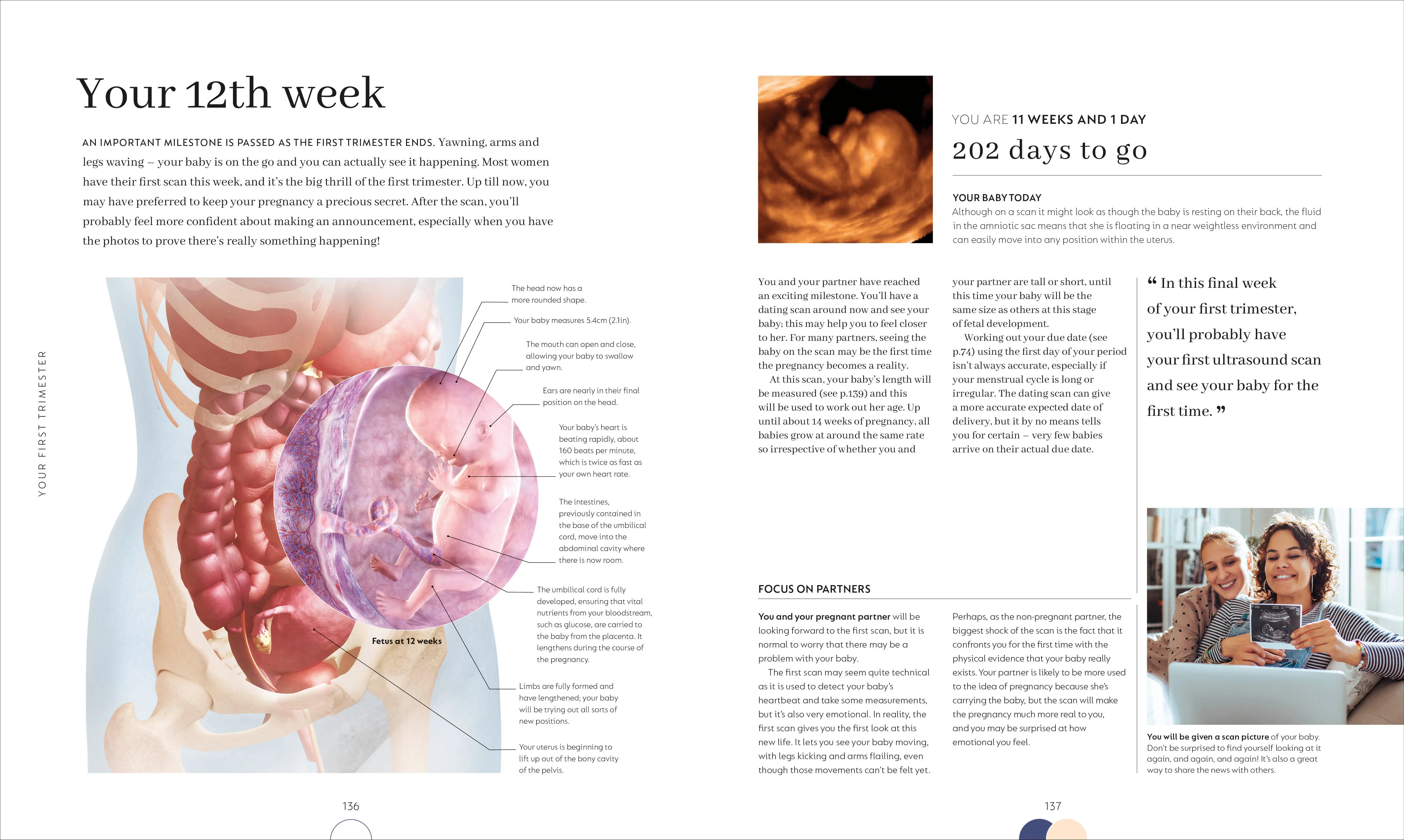 The Day-by-Day Pregnancy Book - Image 5