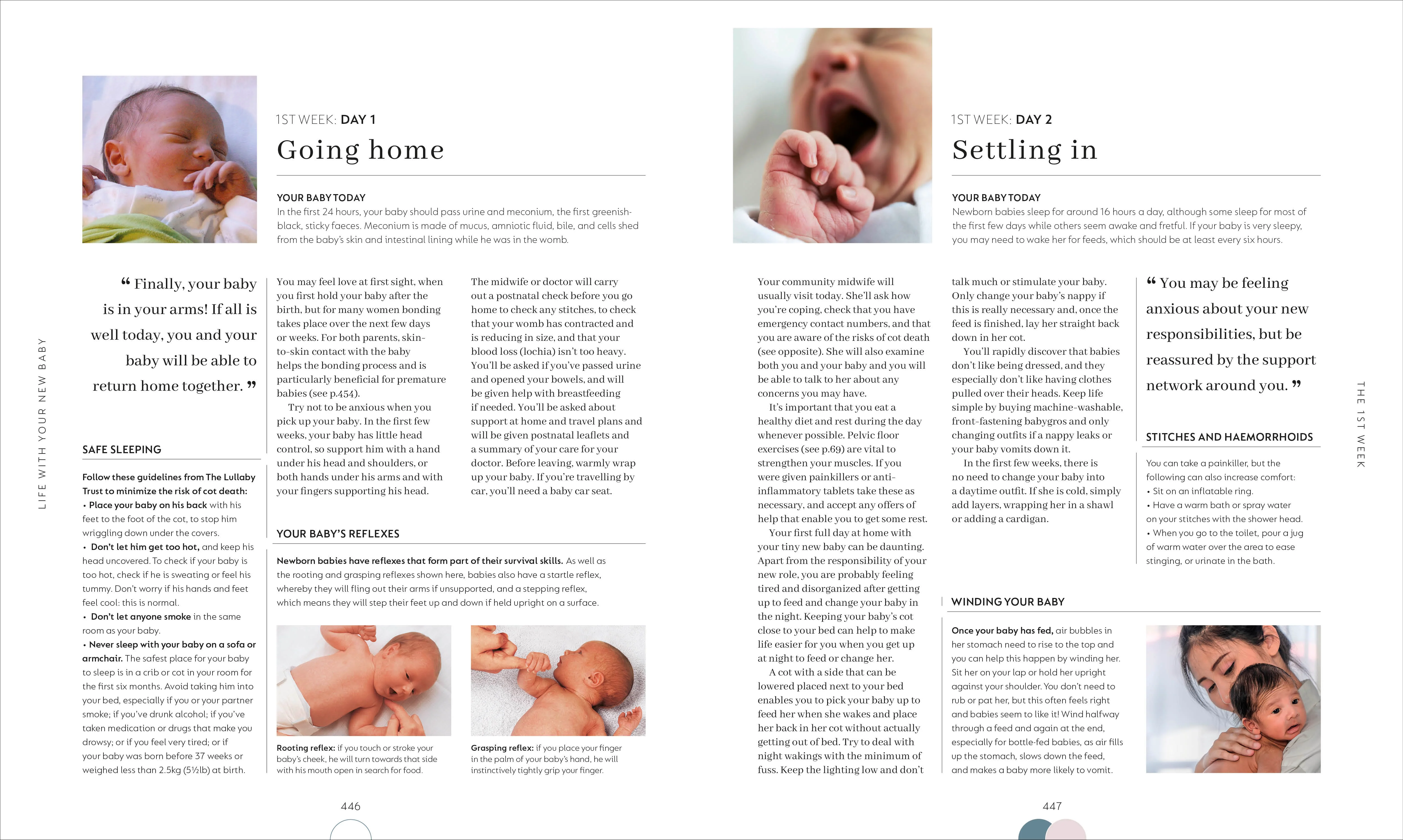 The Day-by-Day Pregnancy Book - Image 8