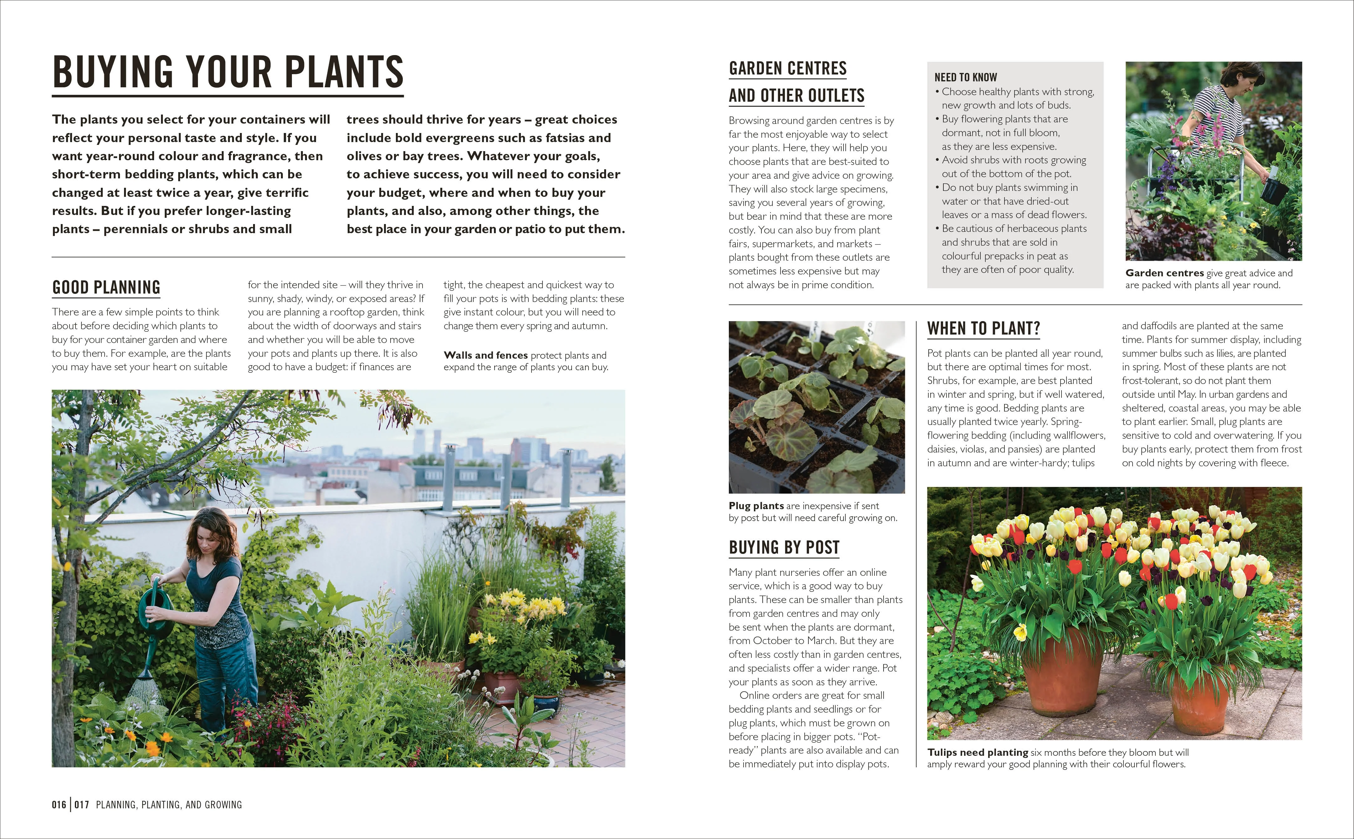 Grow Containers - Image 2